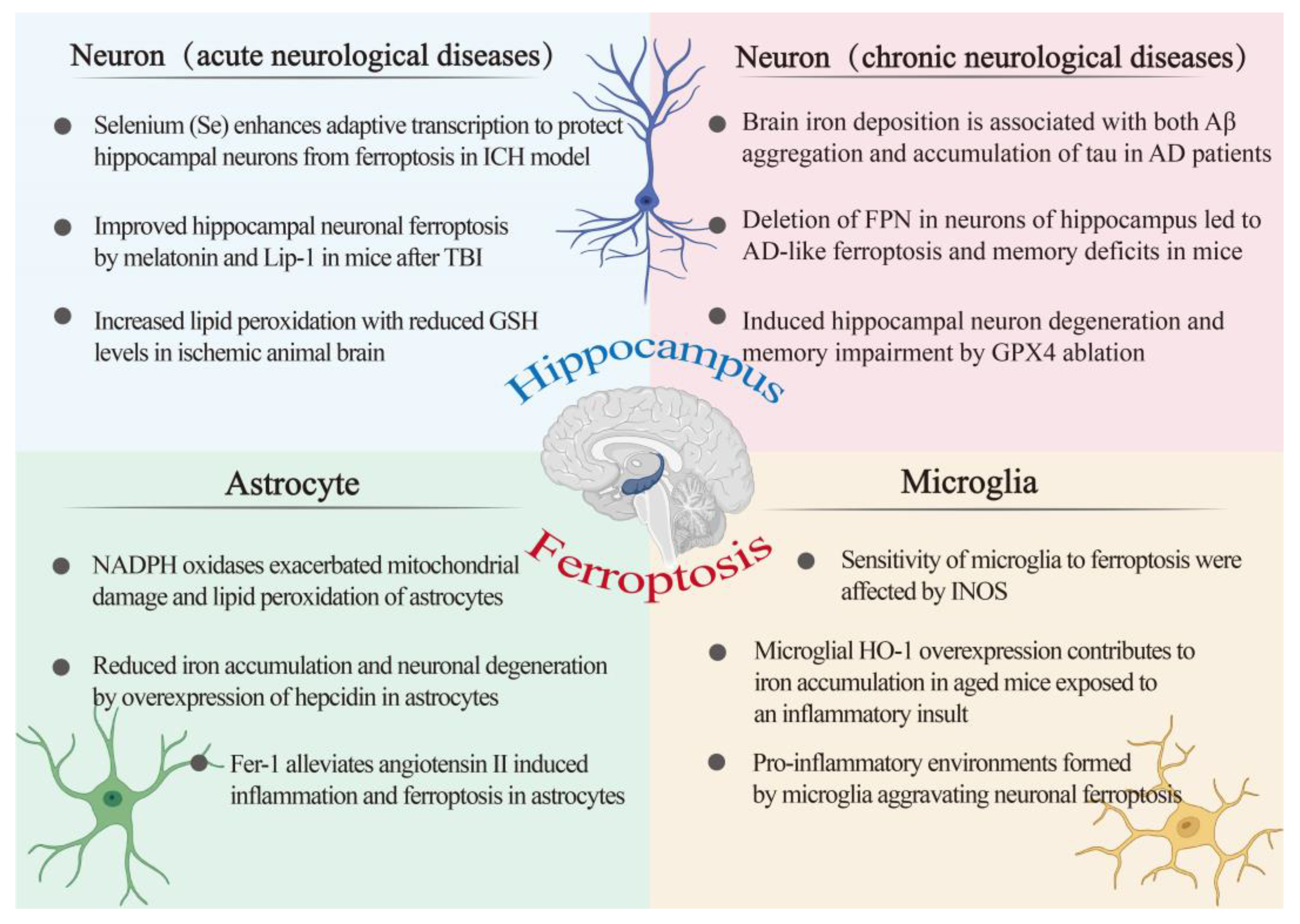 Ijms 22 09902 g003 550