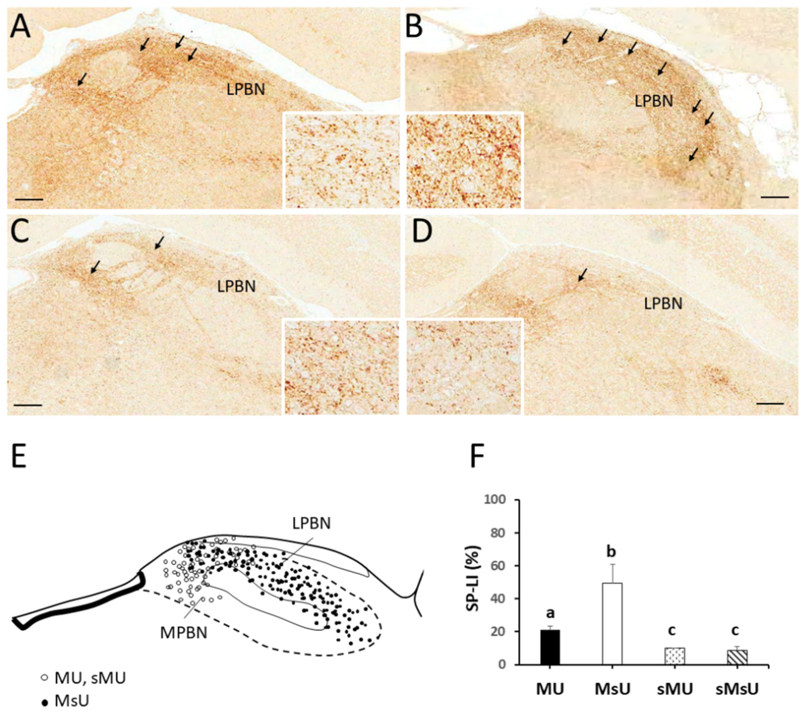 Ijms 22 09906 g003 550