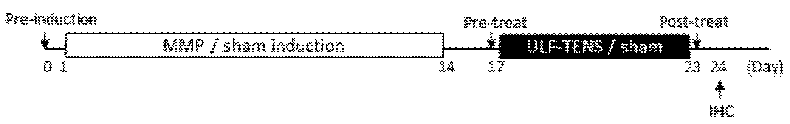 Ijms 22 09906 g006 550