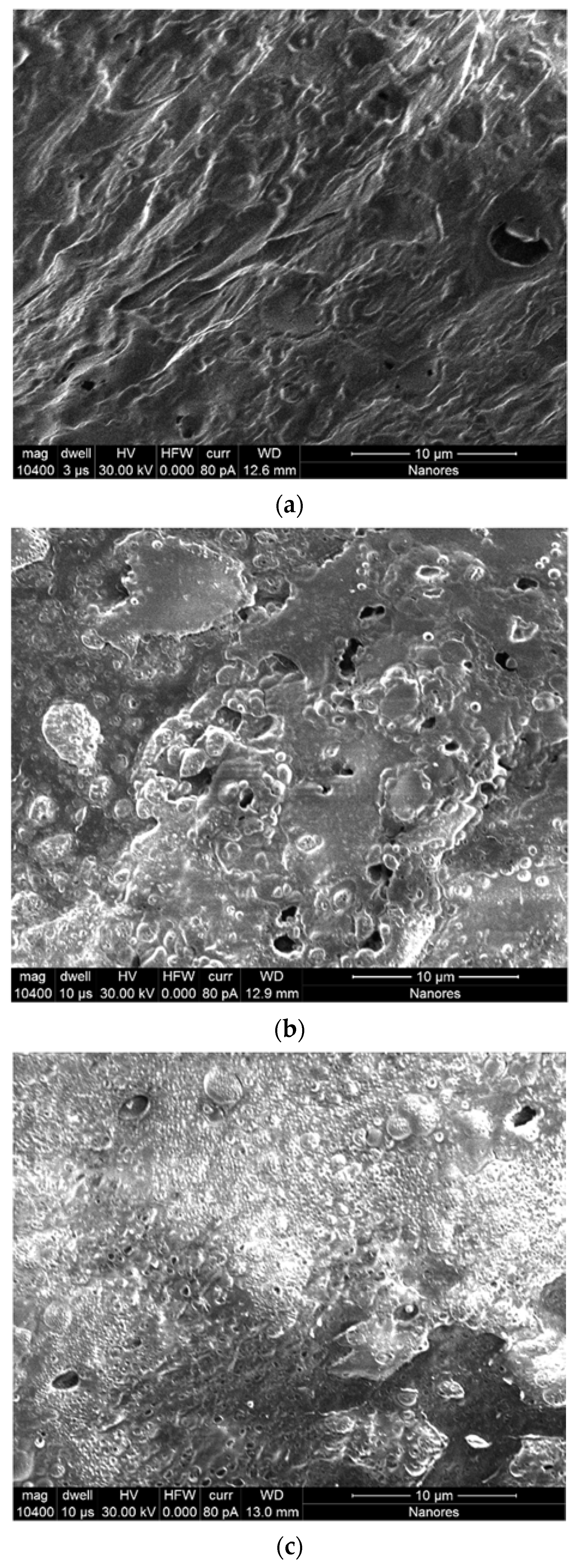 Ijms 22 09909 g001 Ijms 22 09909 g001