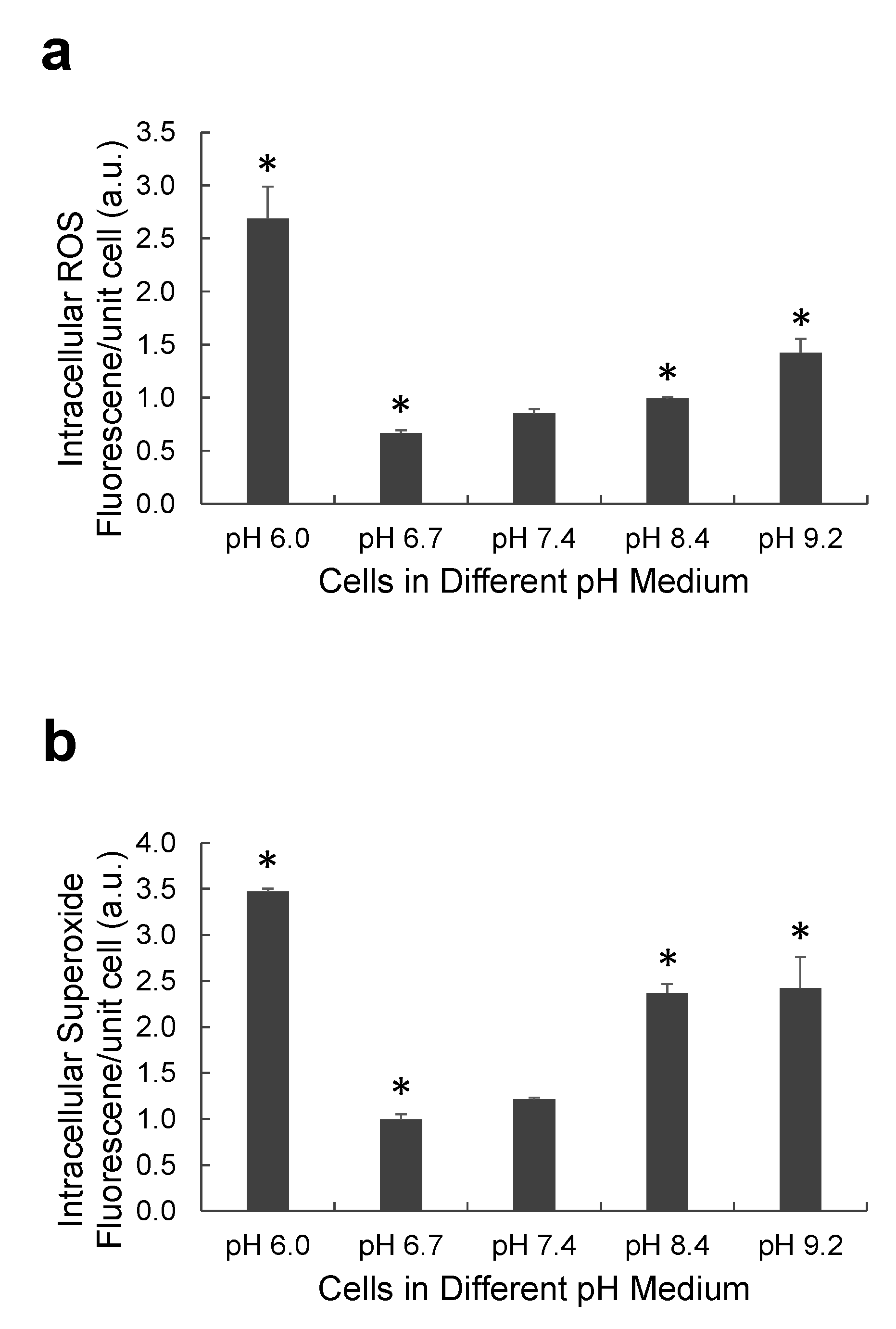Ijms 22 09910 g006 550