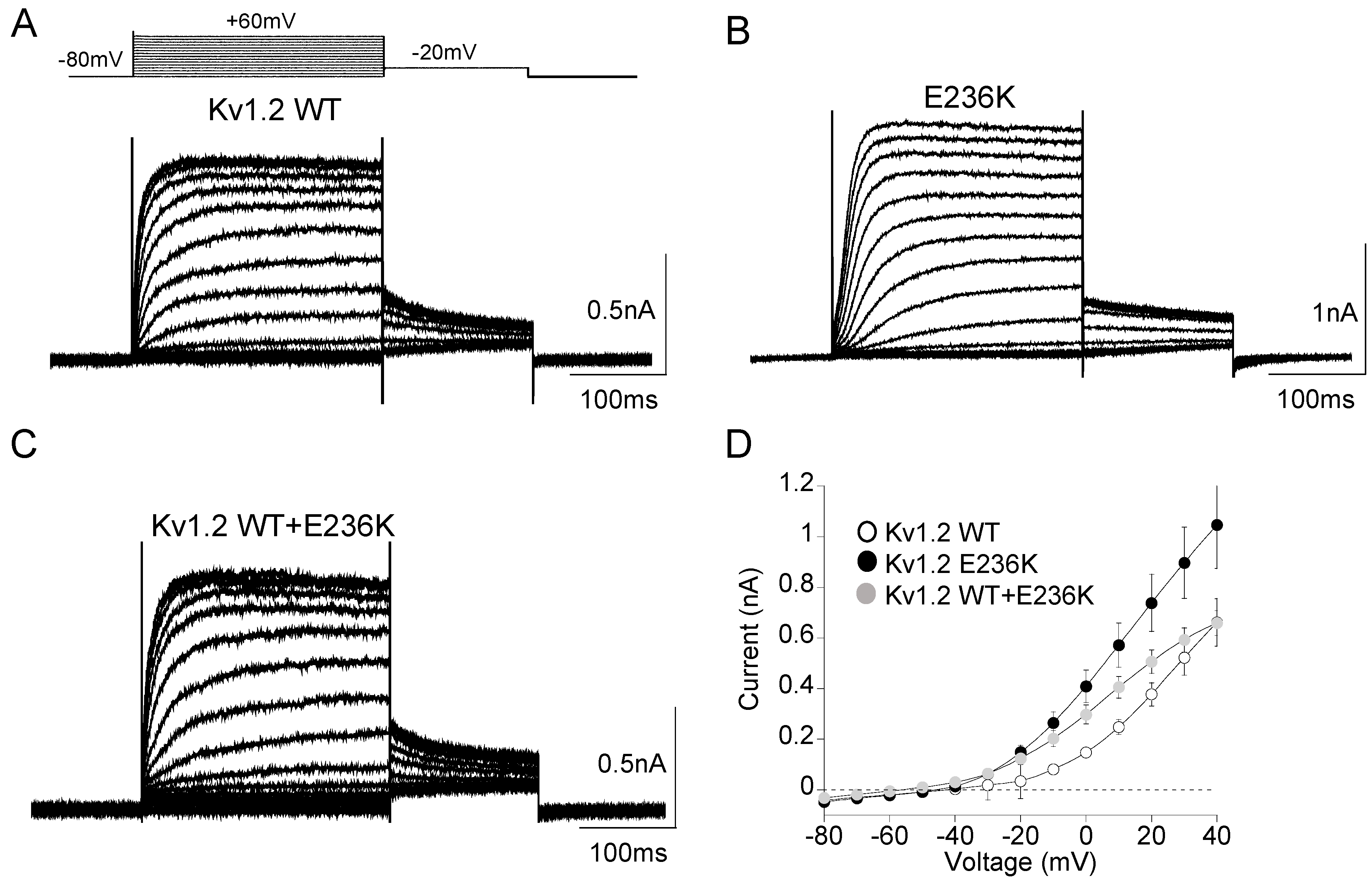 Ijms 22 09913 g003 550