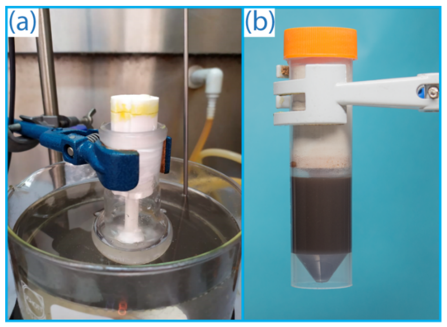 Ijms 22 09919 g013 550