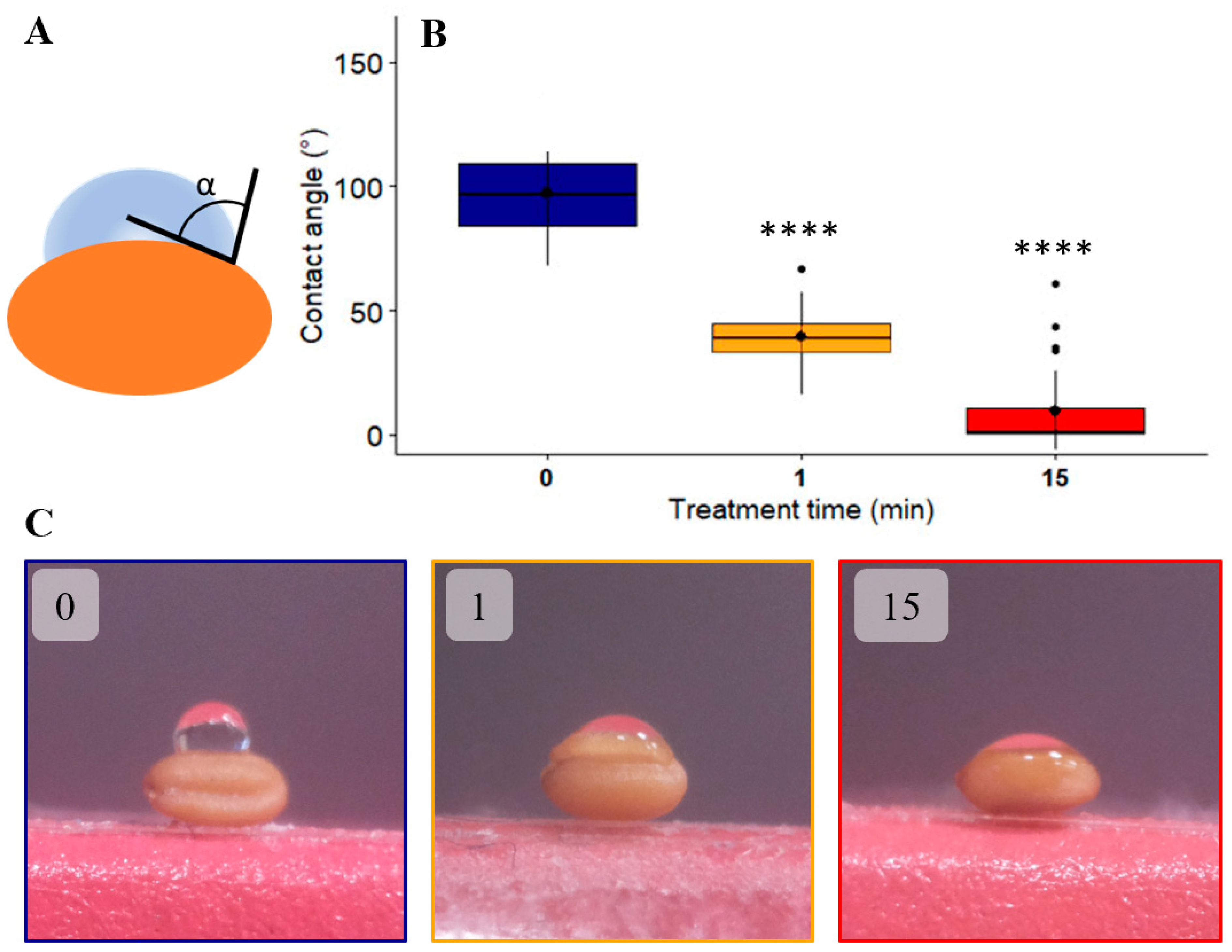 Ijms 22 09923 g003 550