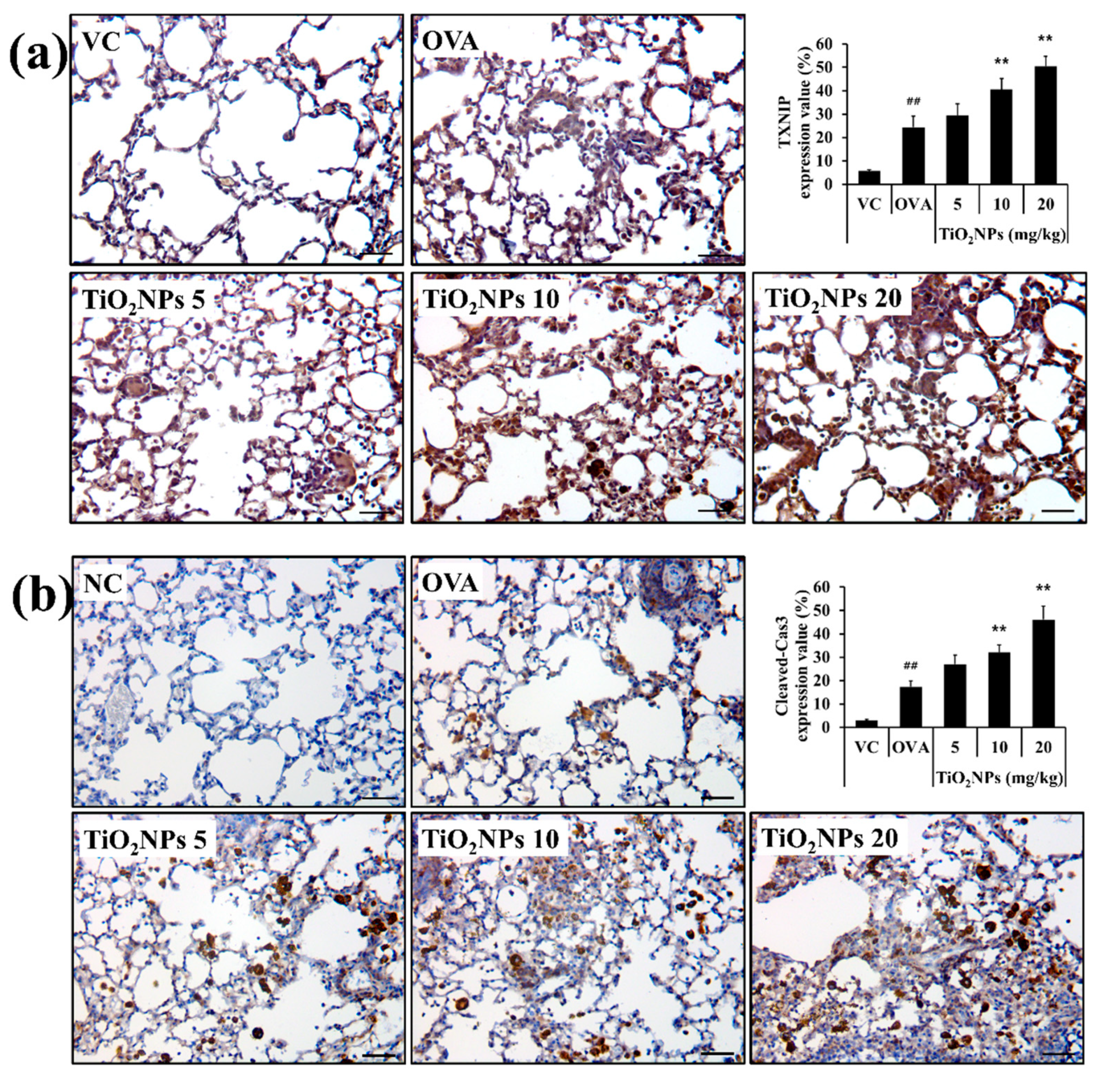 Ijms 22 09924 g005 550