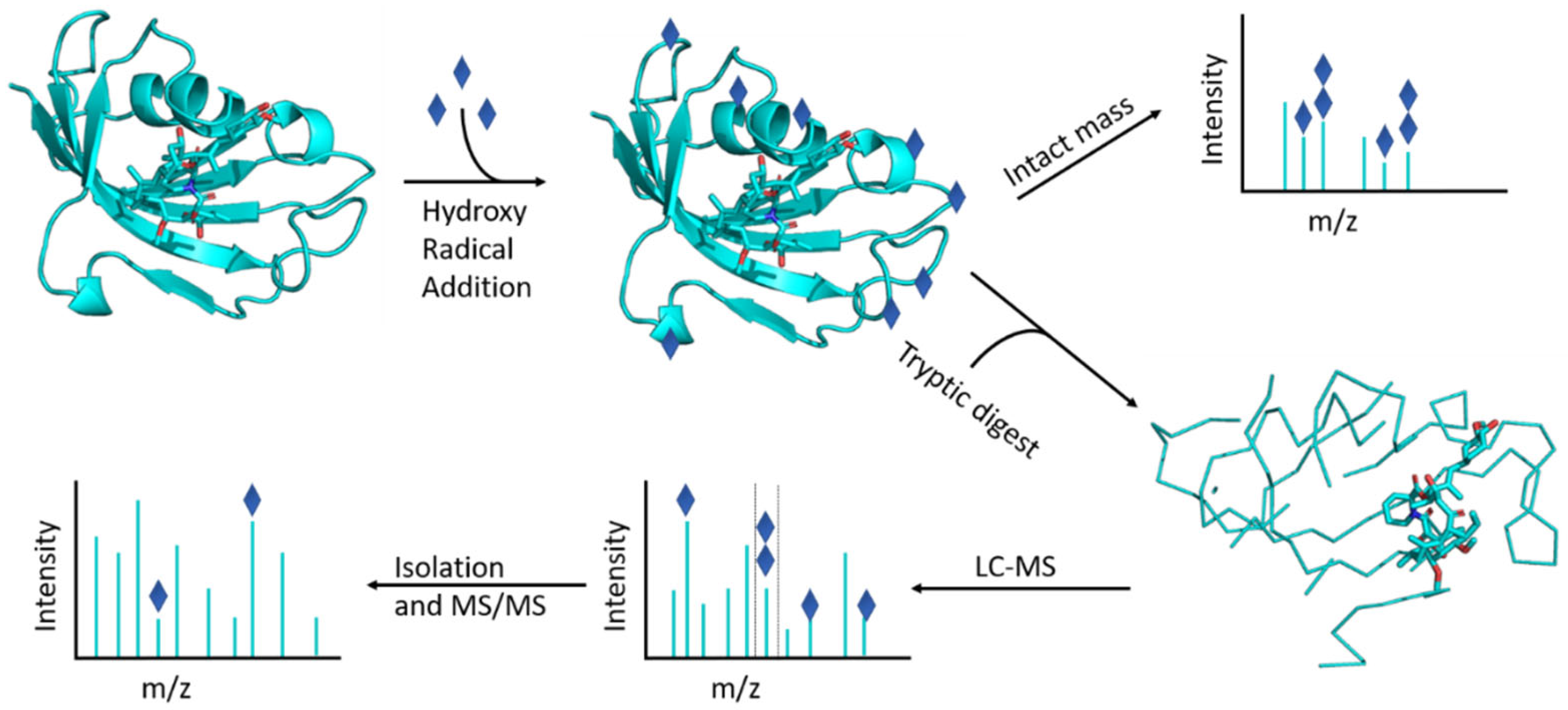 Ijms 22 09927 g001 550