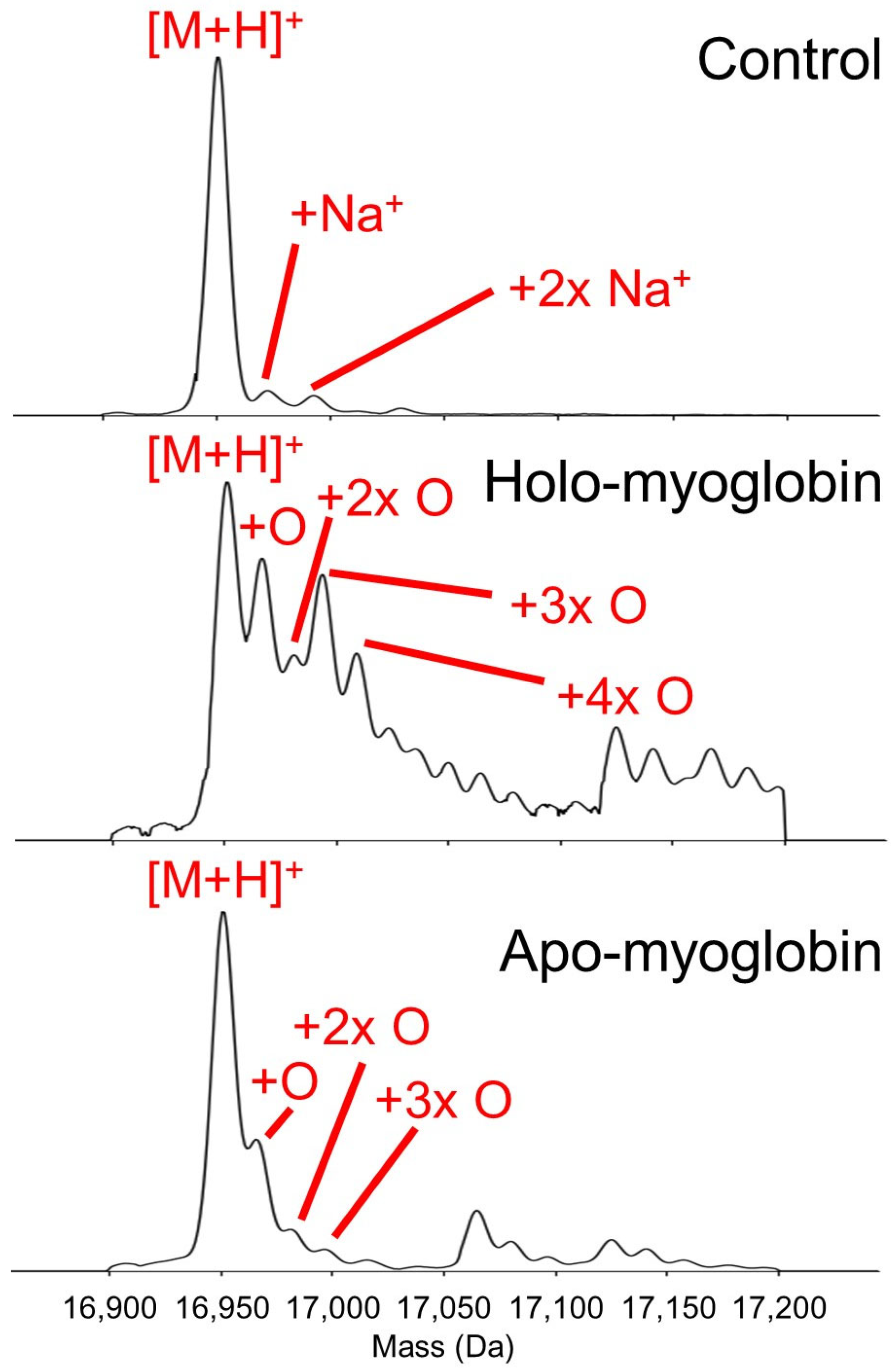 Ijms 22 09927 g002 550