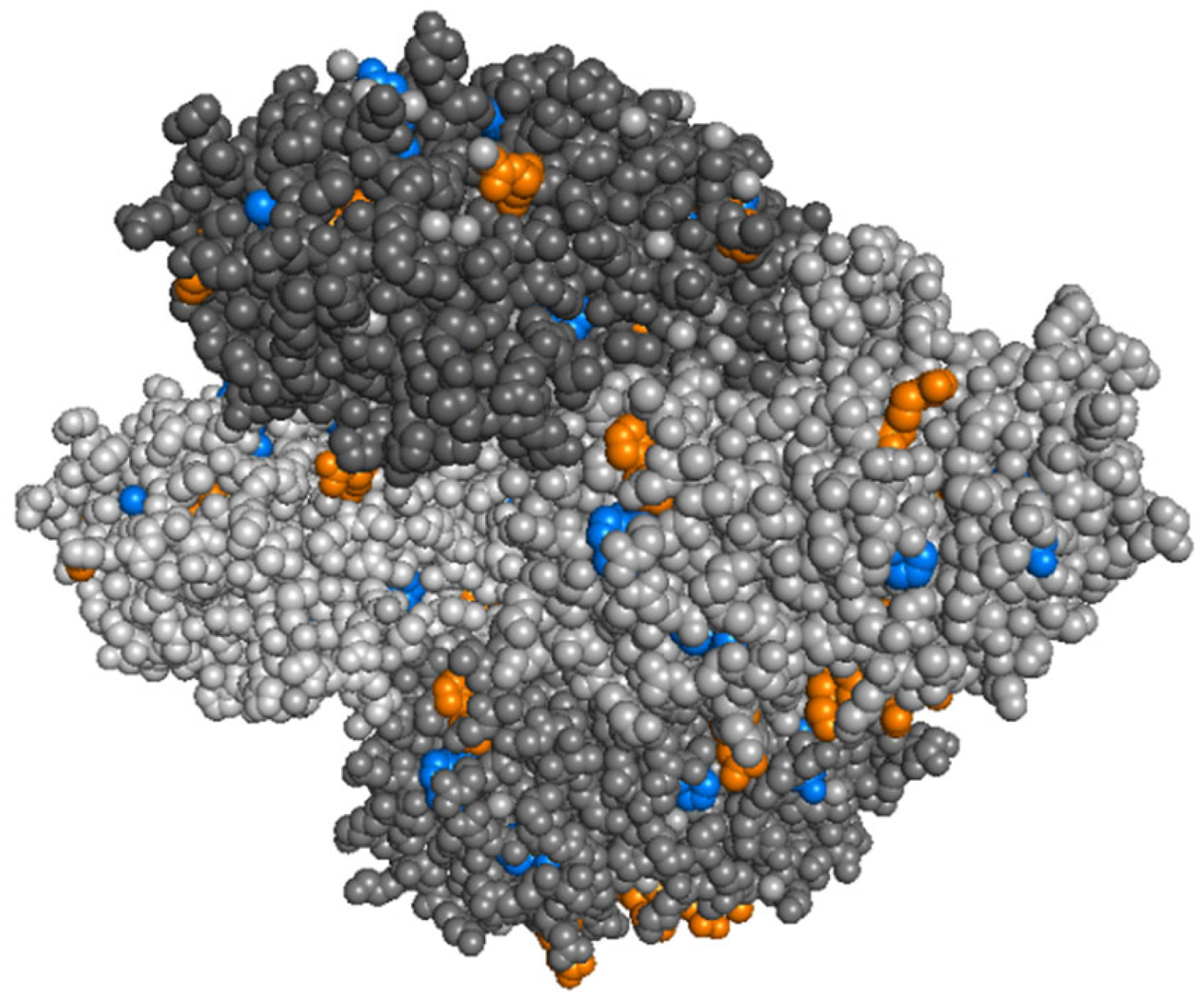 Ijms 22 09927 g005 550