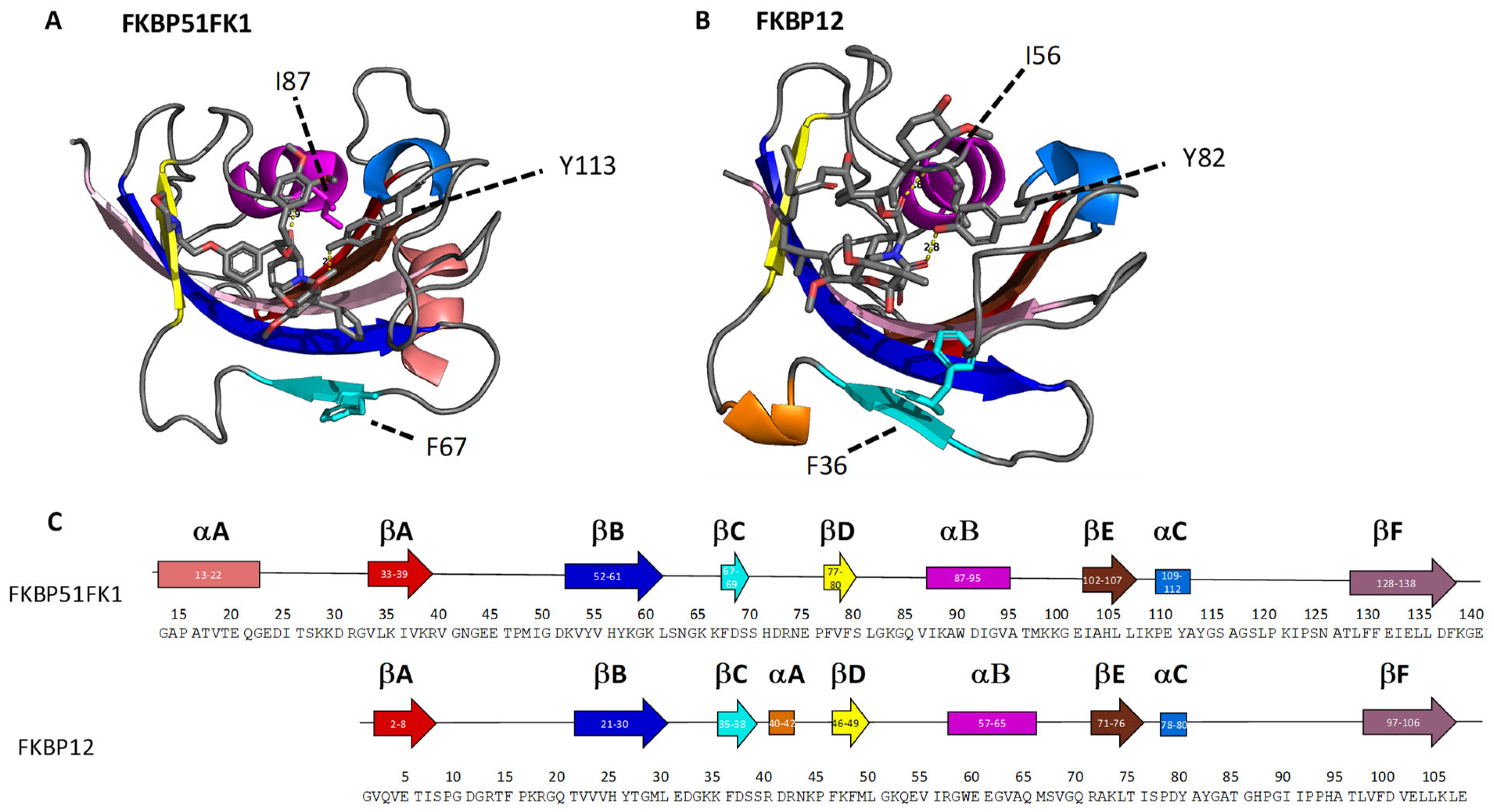 Ijms 22 09927 g006 550