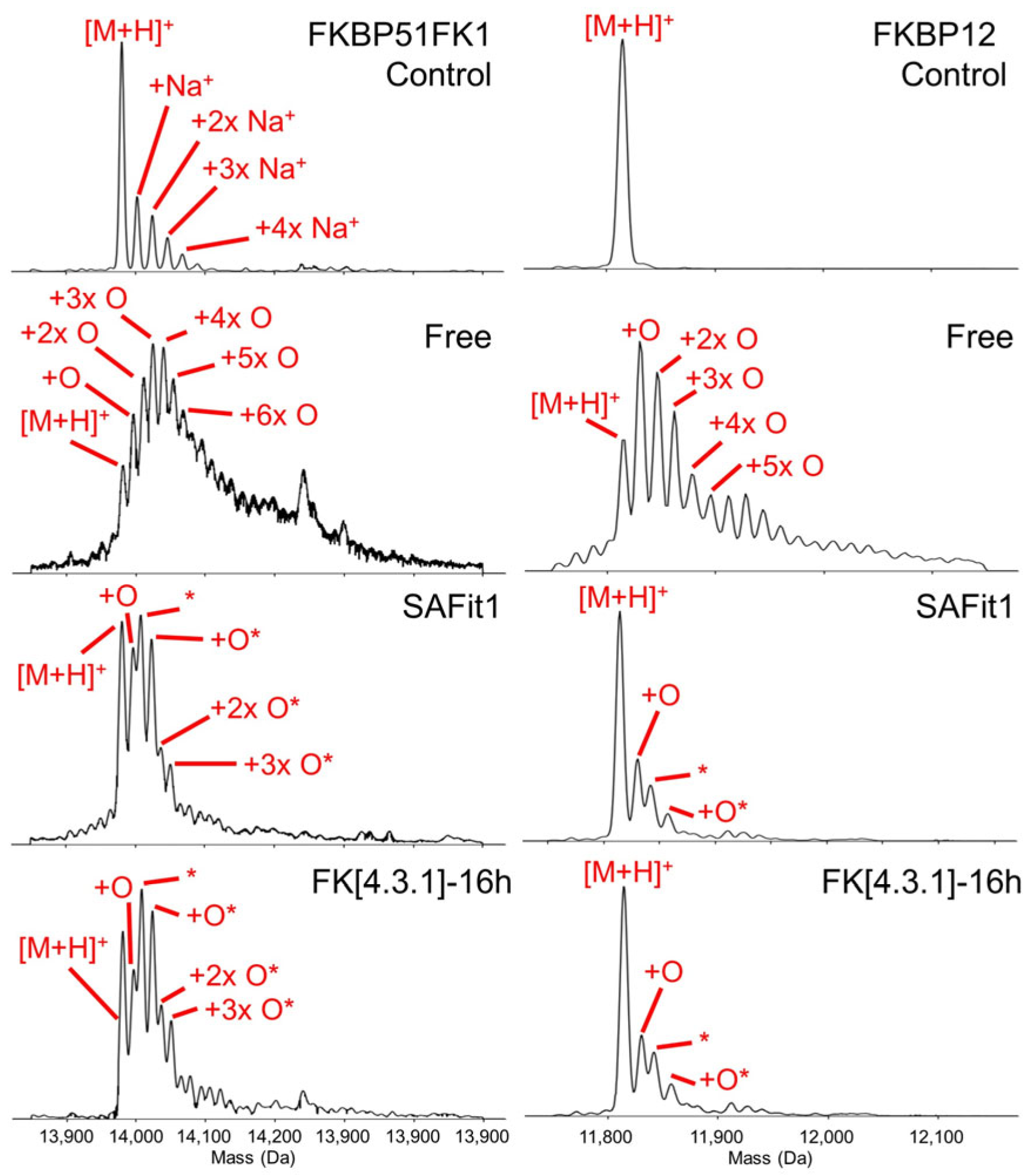 Ijms 22 09927 g007 550