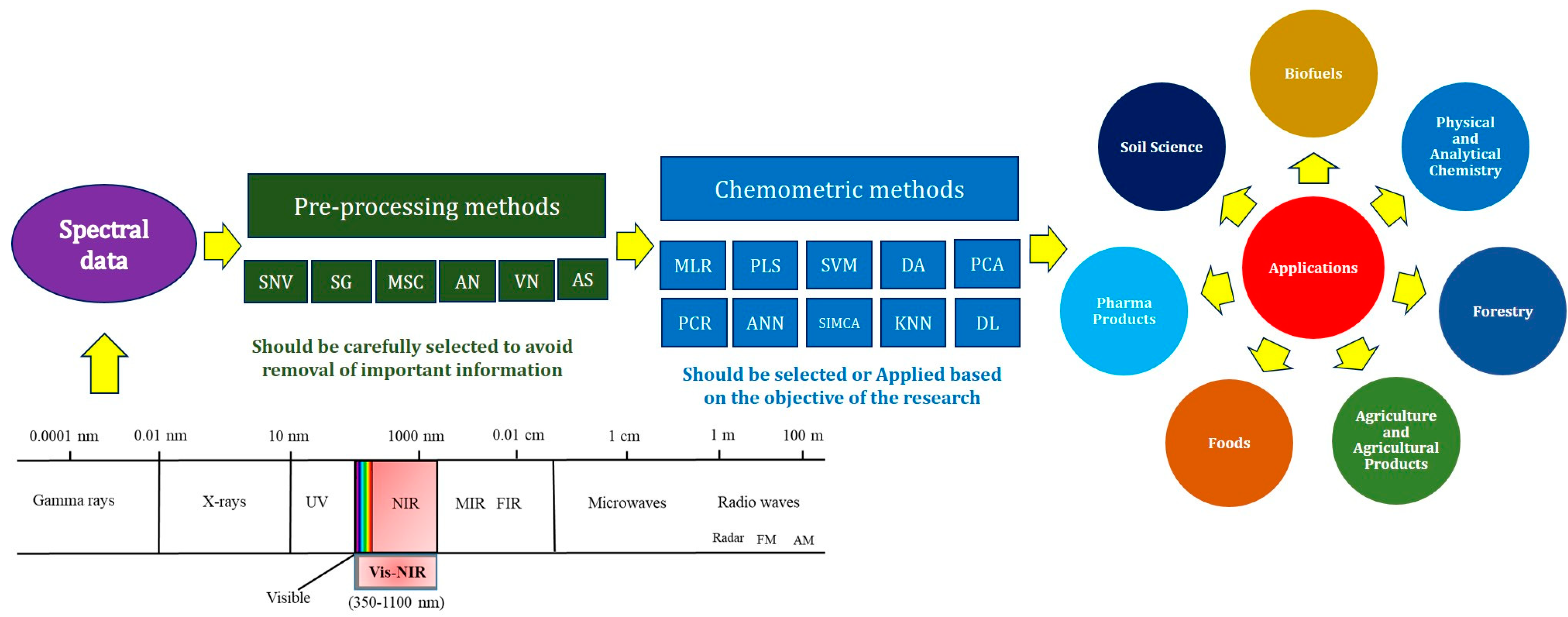 Ijms 22 09940 g002 Ijms 22 09940 g002