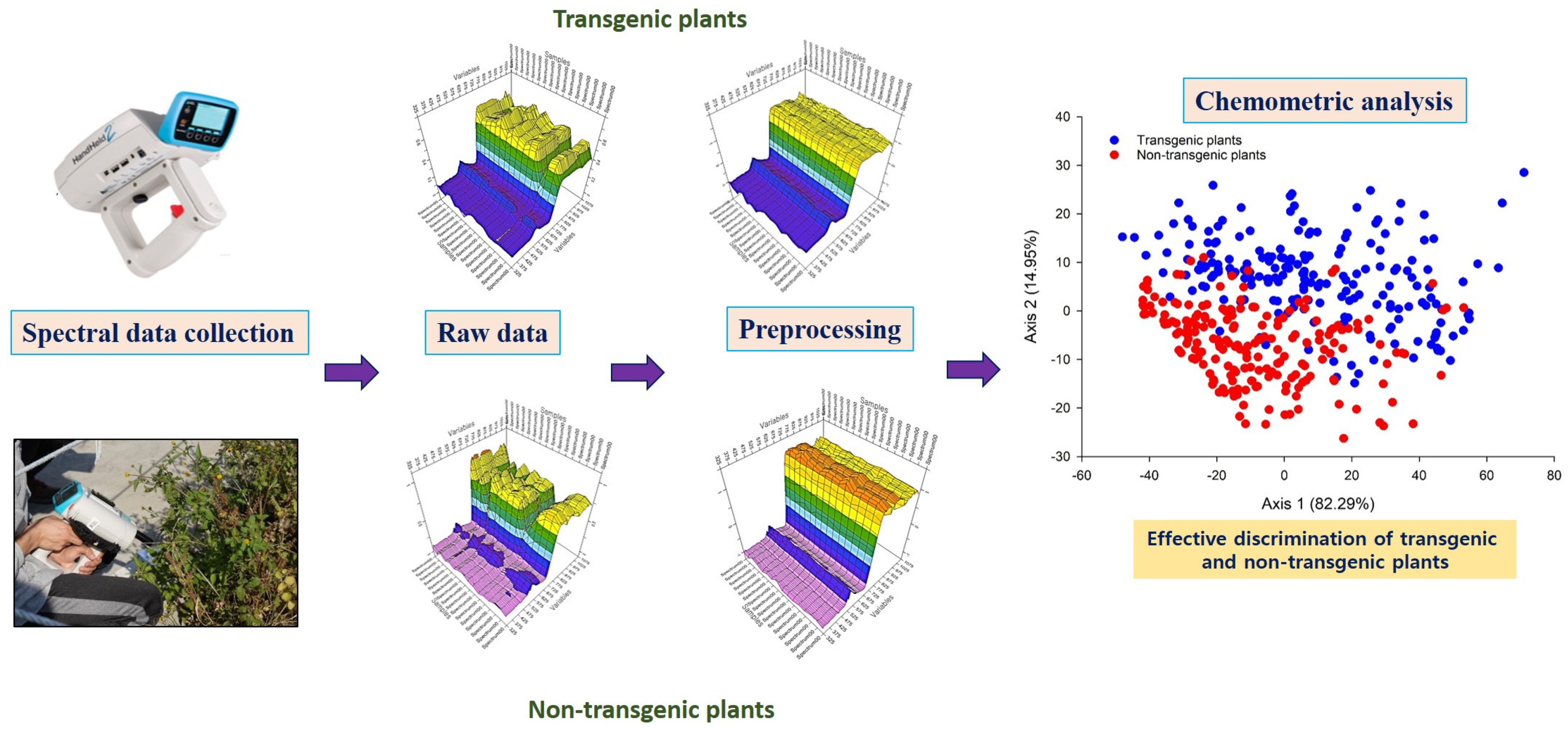 Ijms 22 09940 g003 Ijms 22 09940 g003