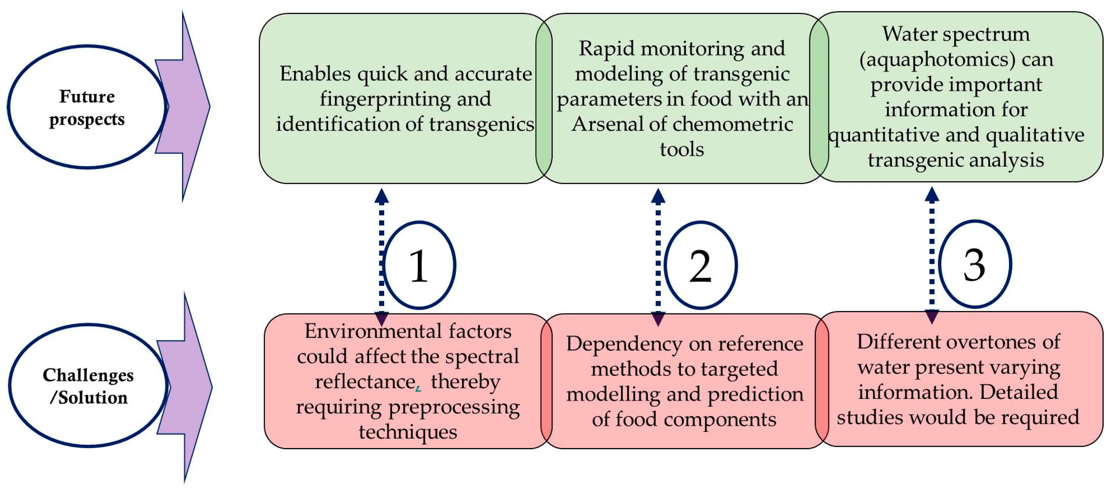Ijms 22 09940 g004 Ijms 22 09940 g004