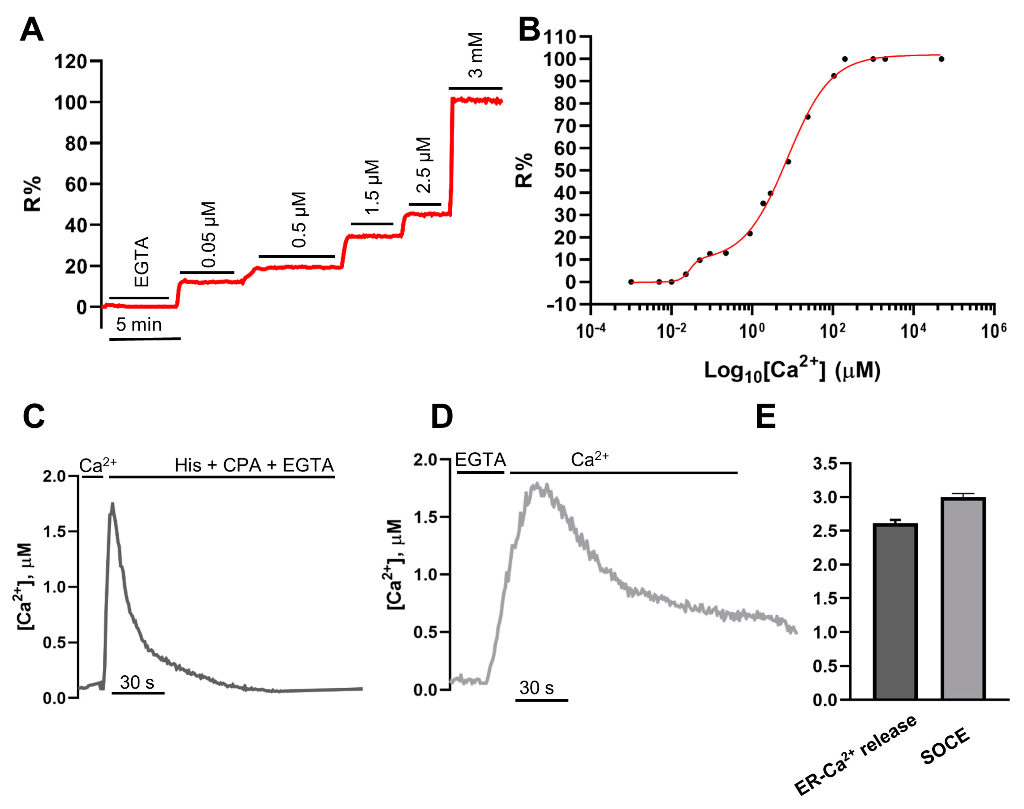 Ijms 22 09945 g003 Ijms 22 09945 g003