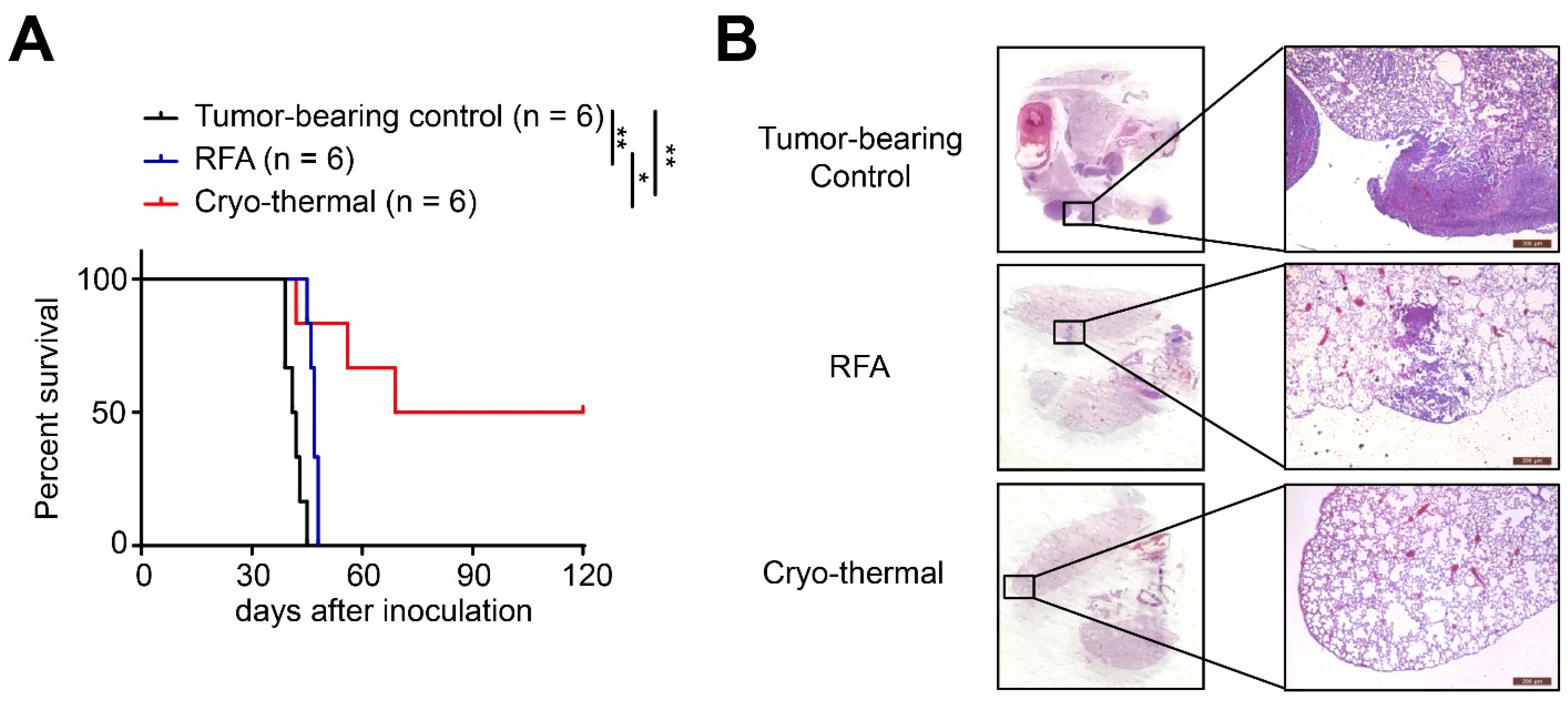Ijms 22 09951 g001 550