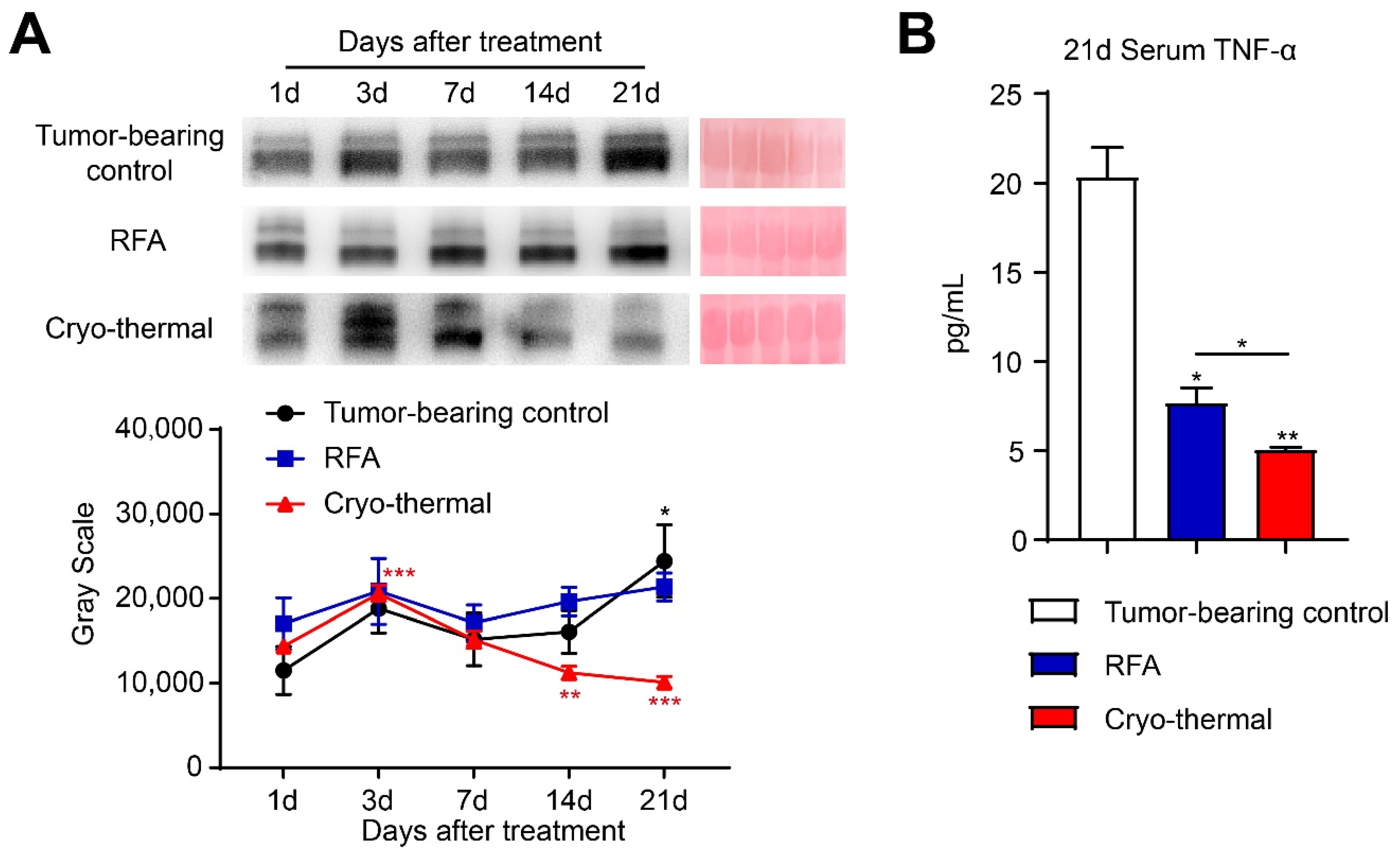 Ijms 22 09951 g004 550