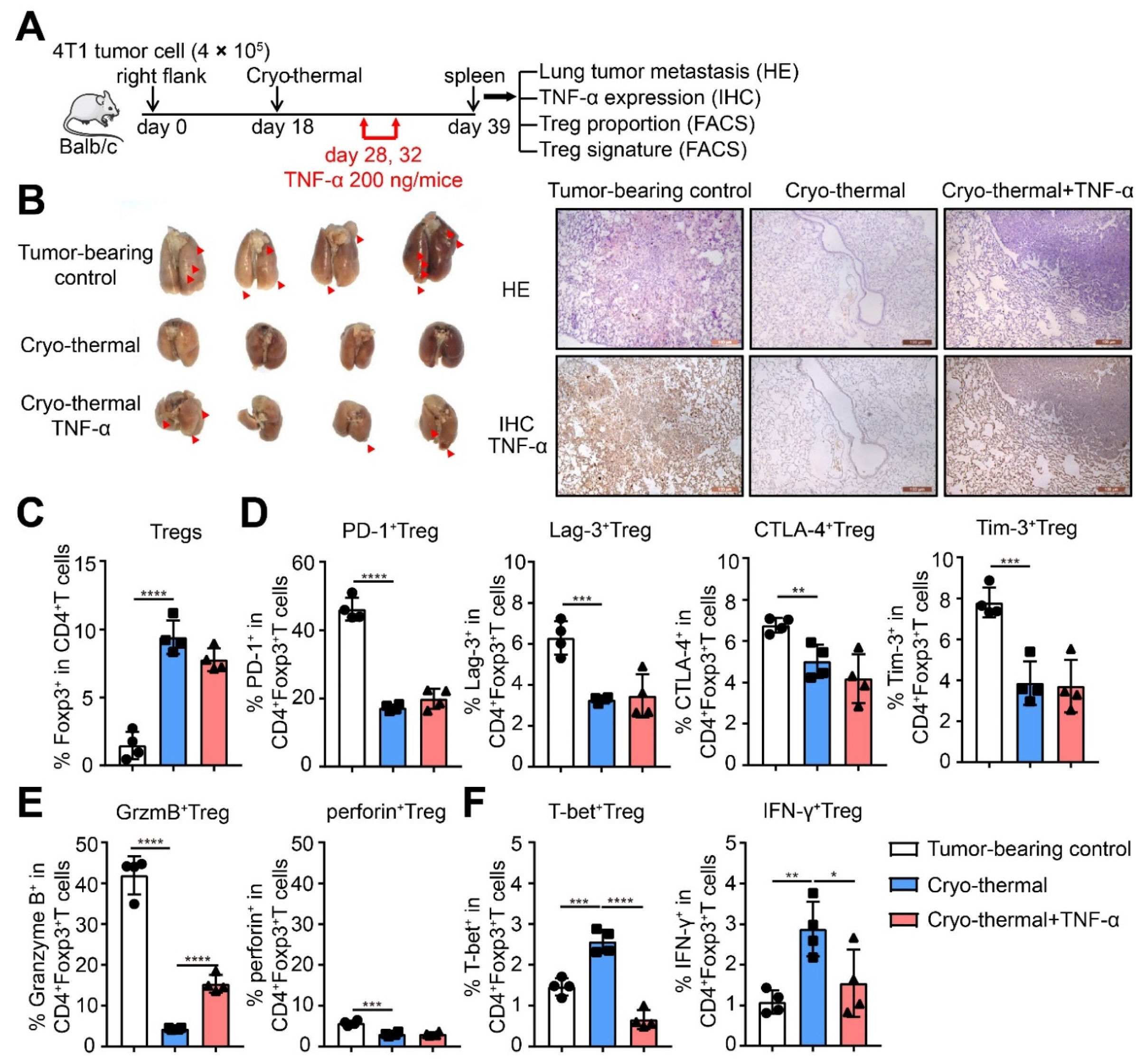 Ijms 22 09951 g005 550