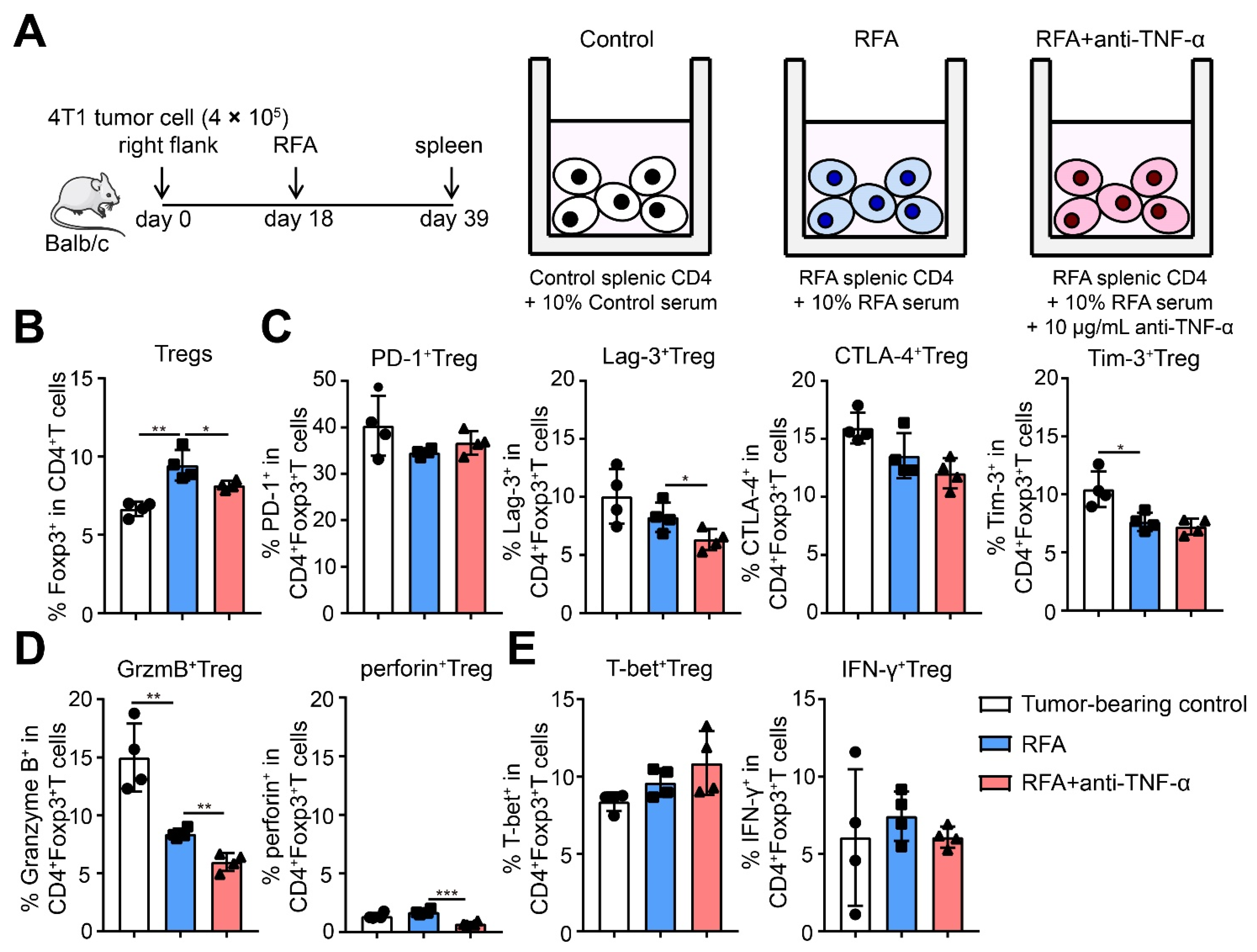 Ijms 22 09951 g008 550