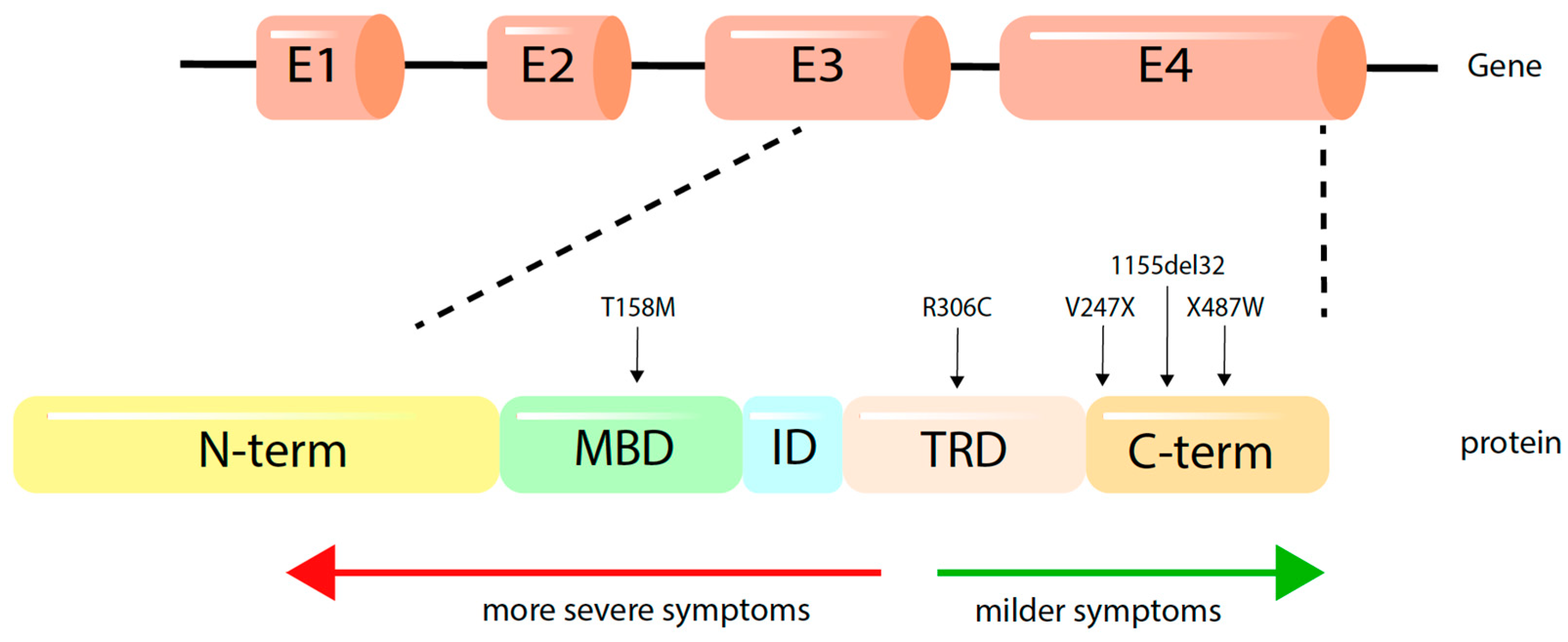 Ijms 22 09954 g002 550