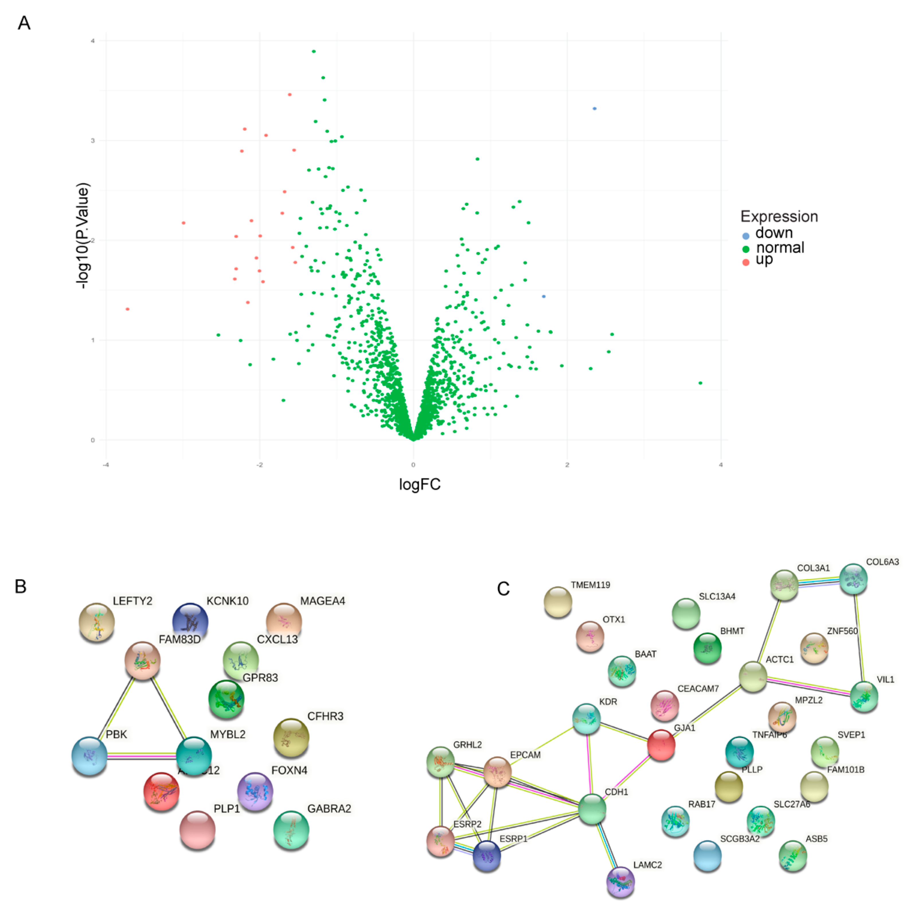 Ijms 22 09954 g008 550