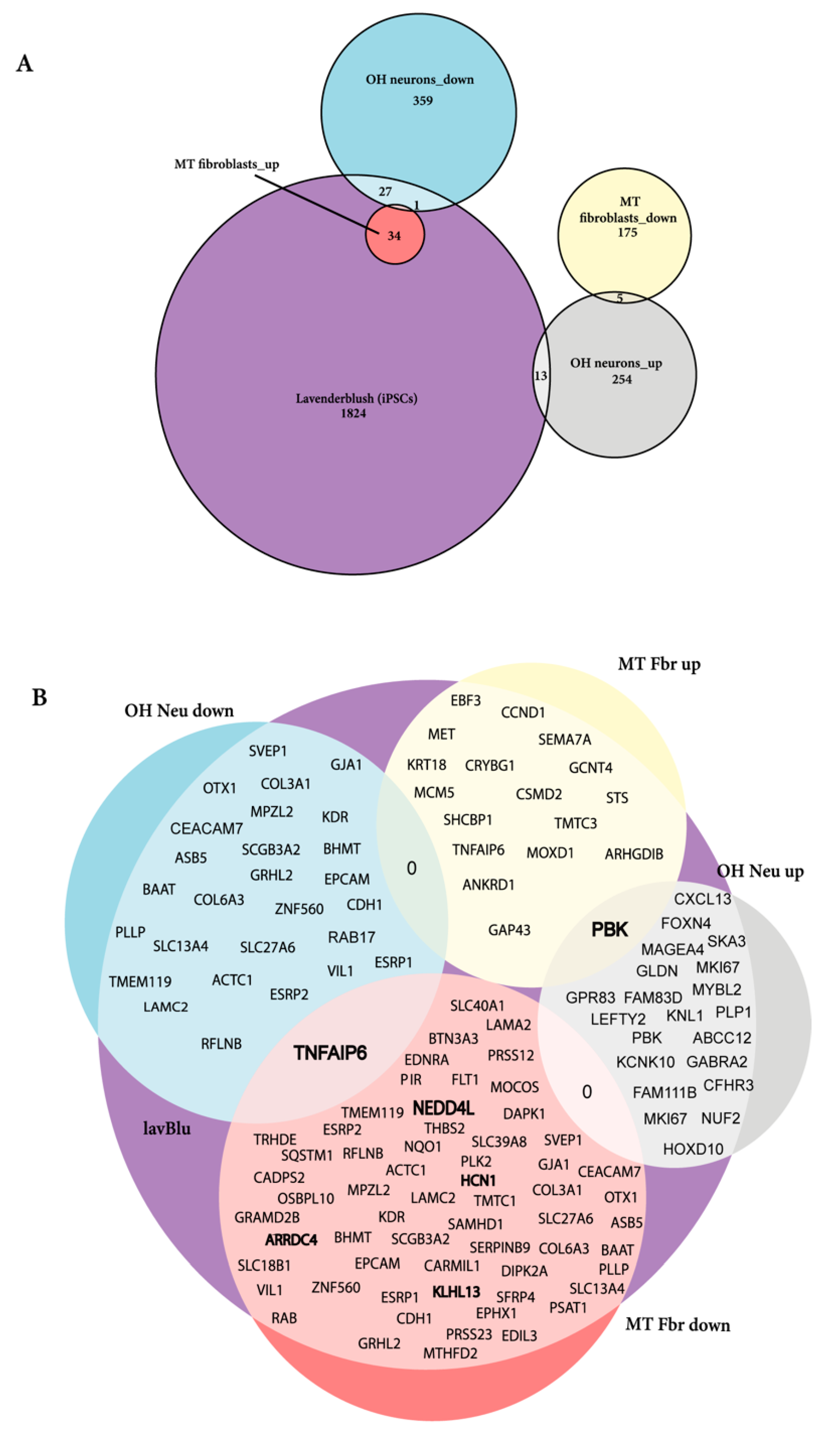 Ijms 22 09954 g009 550