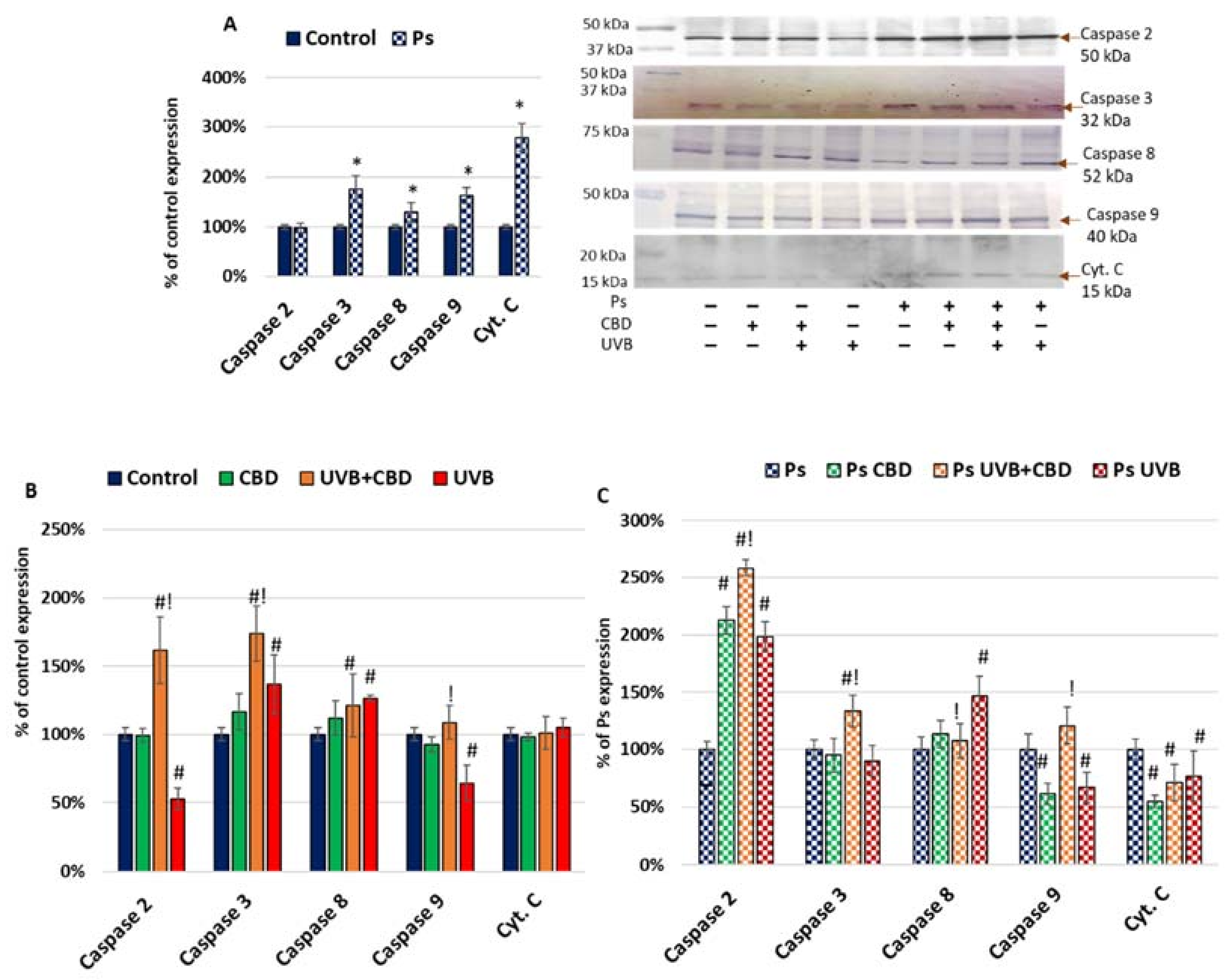 Ijms 22 09956 g001 Ijms 22 09956 g001