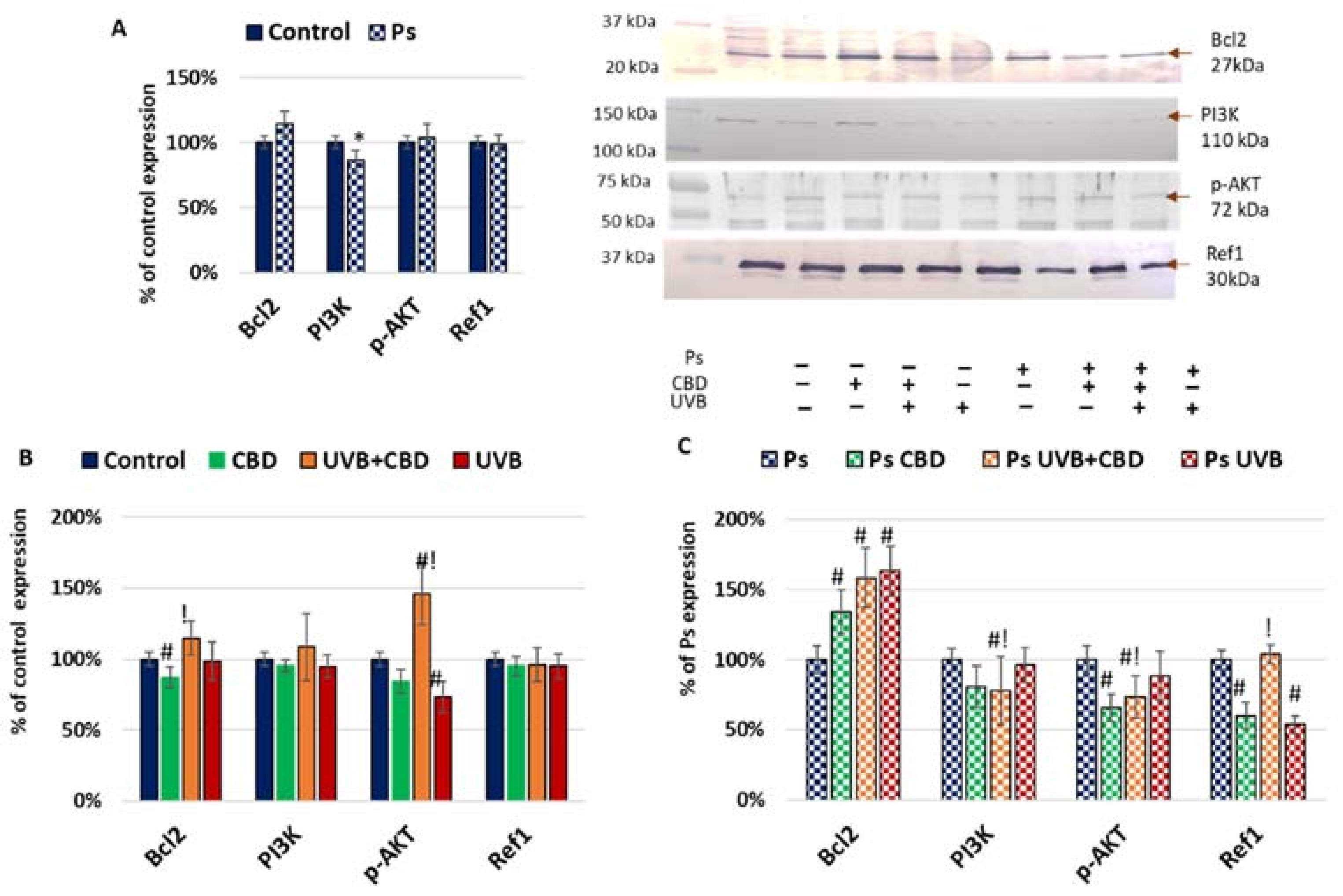 Ijms 22 09956 g002 Ijms 22 09956 g002