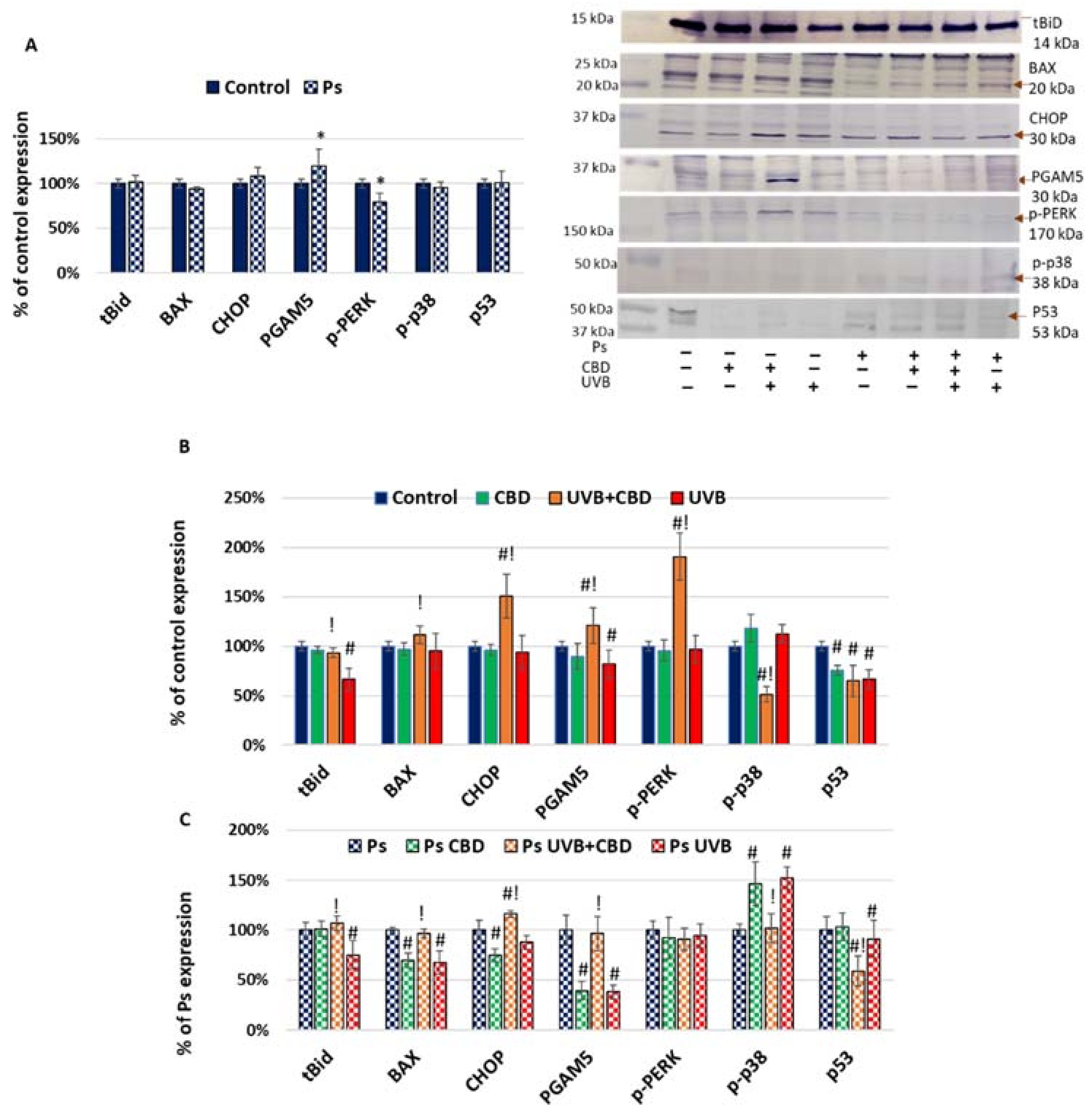 Ijms 22 09956 g003 Ijms 22 09956 g003