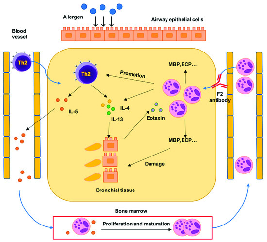 Therapeutic Effects of an Anti-sialyl Lewis X Antibody in a