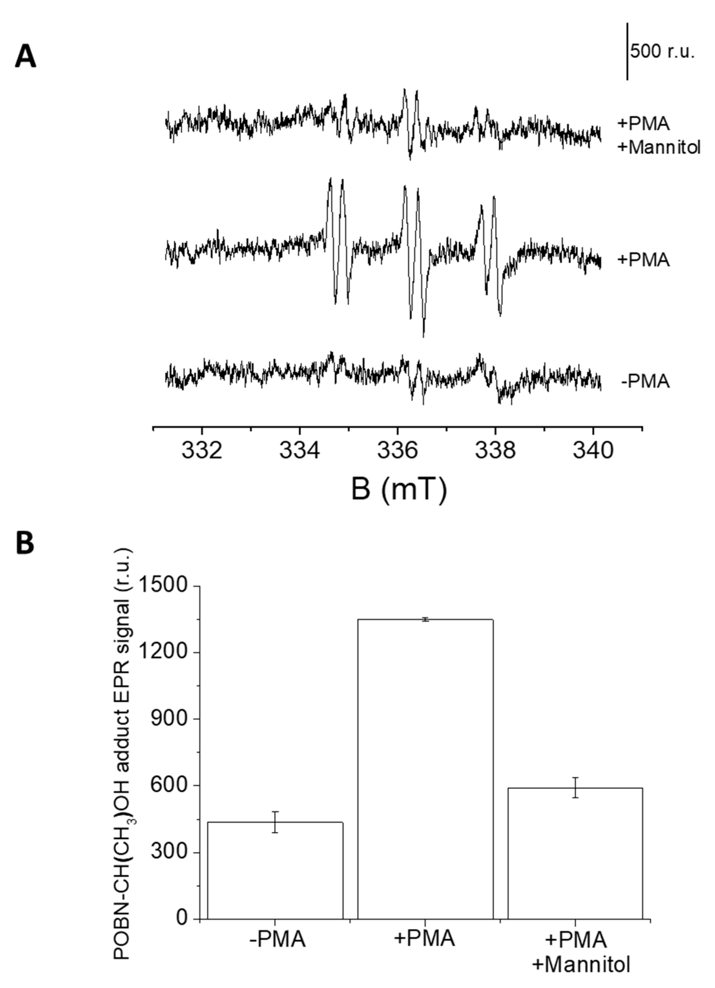 Ijms 22 09963 g007 Ijms 22 09963 g007