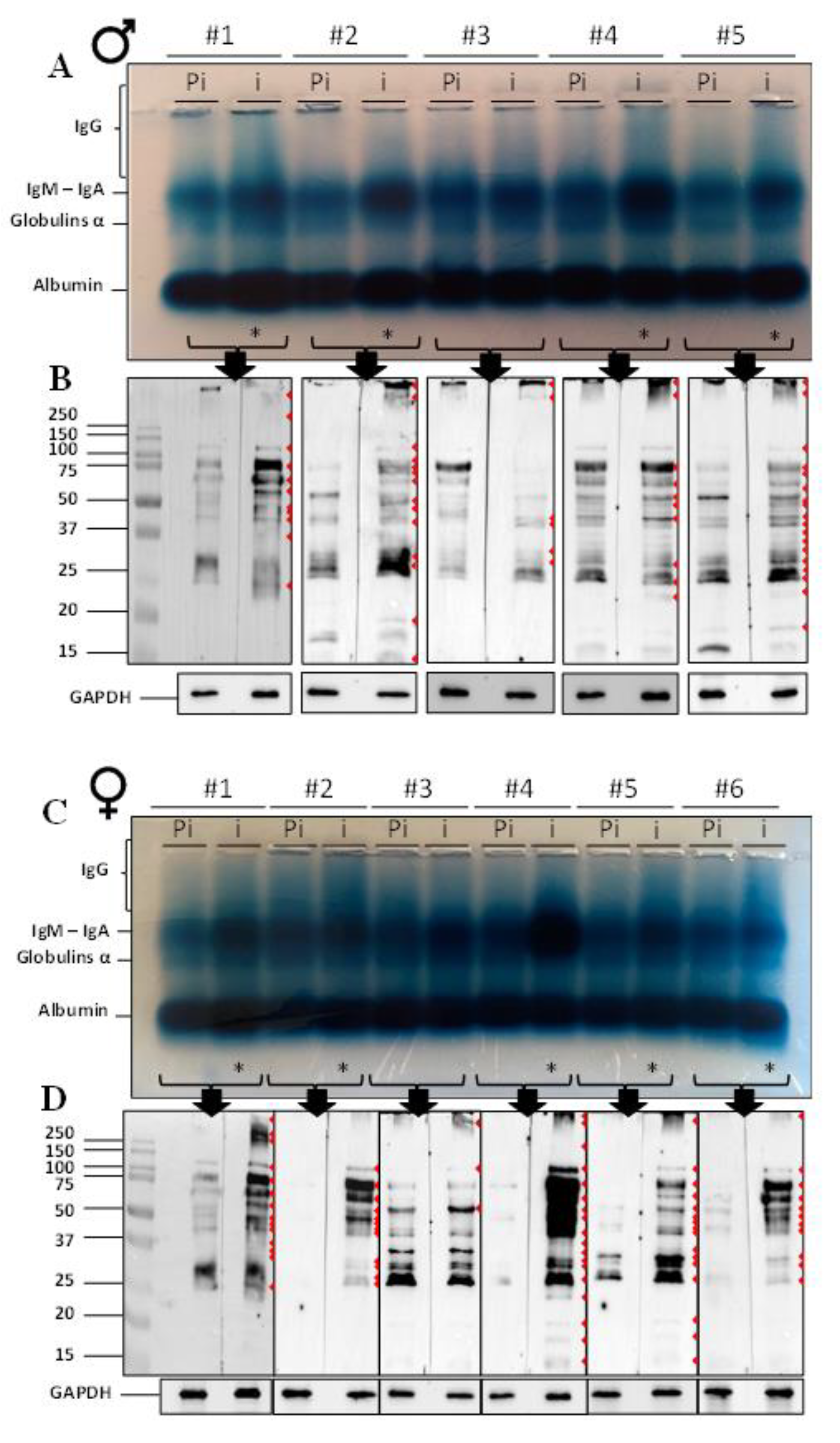 Ijms 22 09965 g001 Ijms 22 09965 g001
