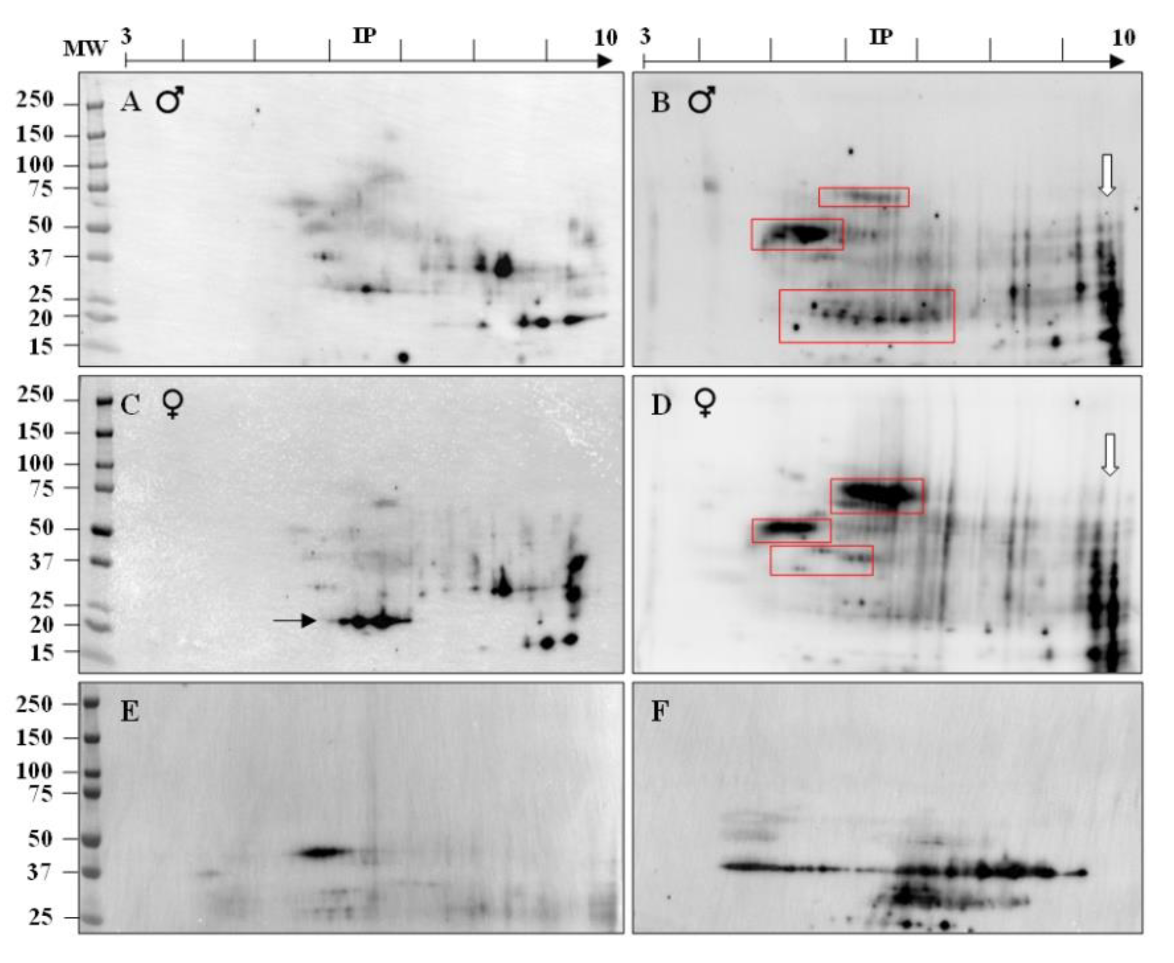 Ijms 22 09965 g002 Ijms 22 09965 g002