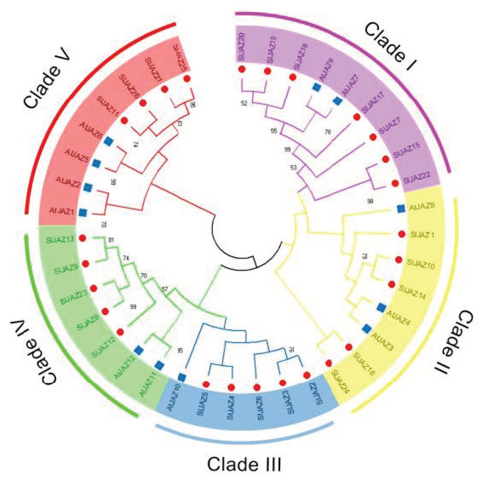 Ijms 22 09974 g002 550