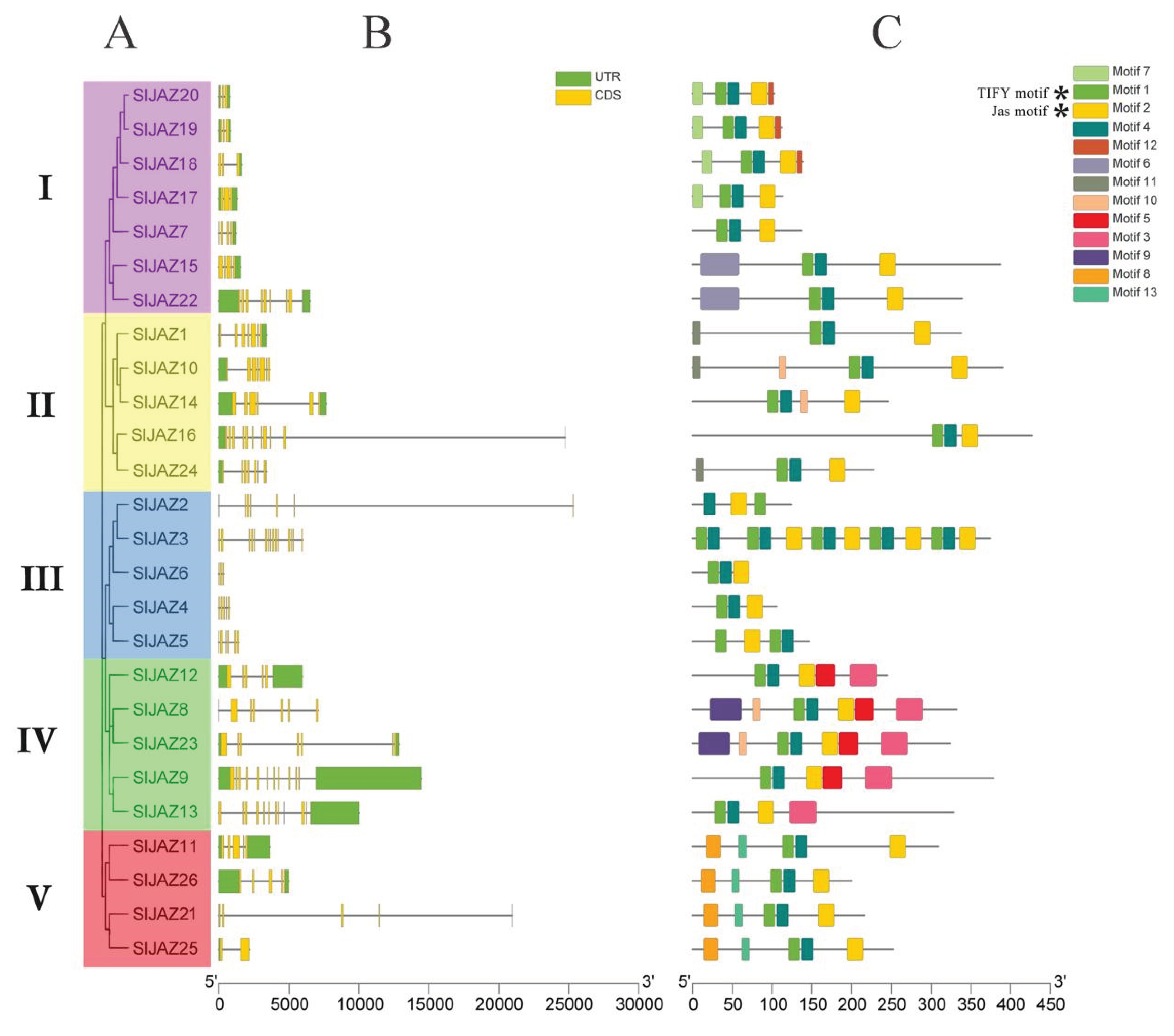 Ijms 22 09974 g003 550