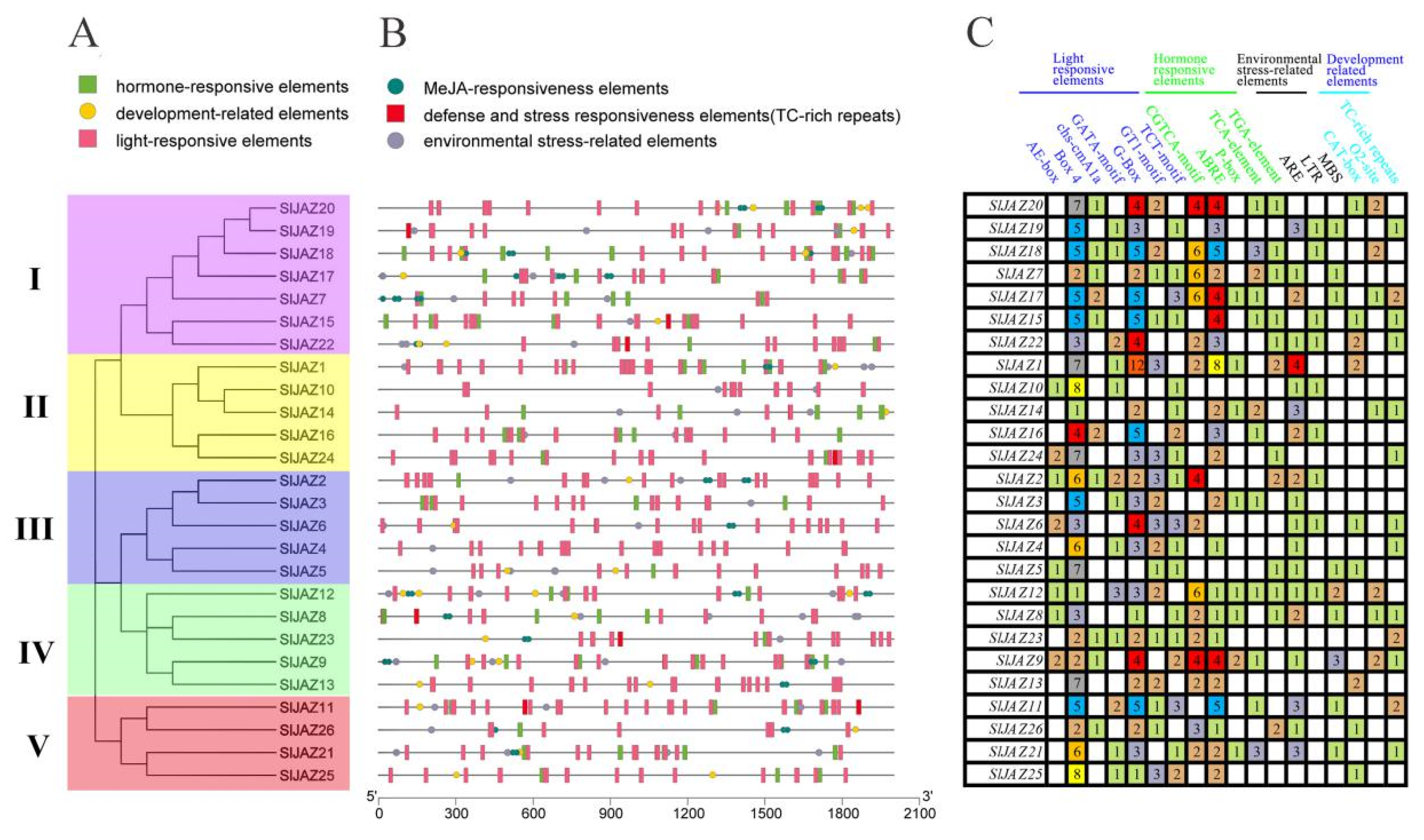 Ijms 22 09974 g004 550