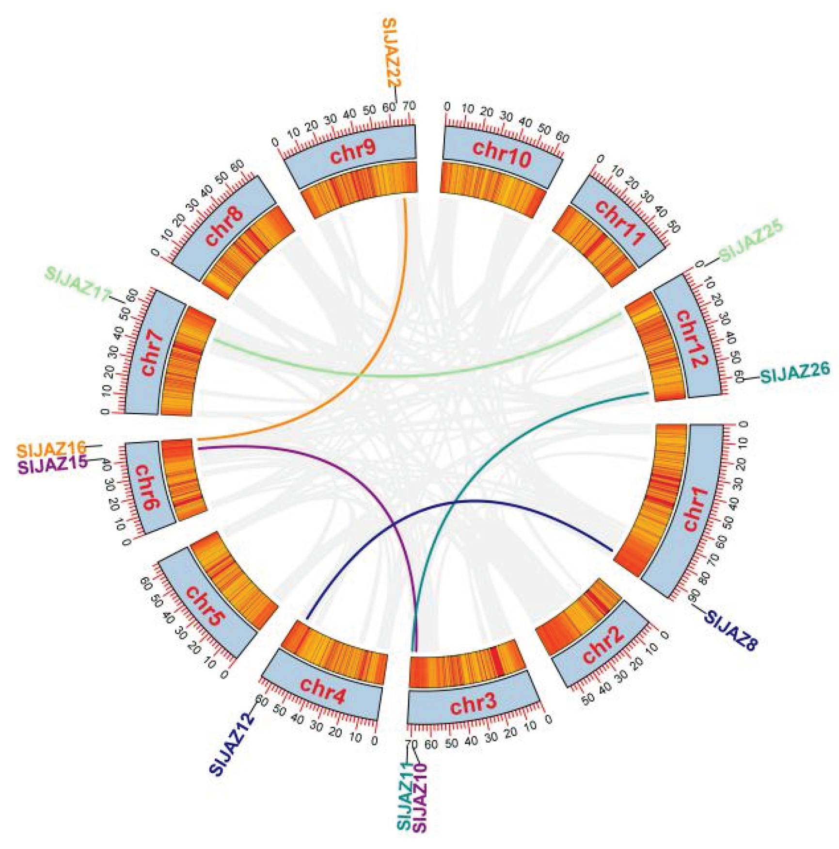 Ijms 22 09974 g005 550