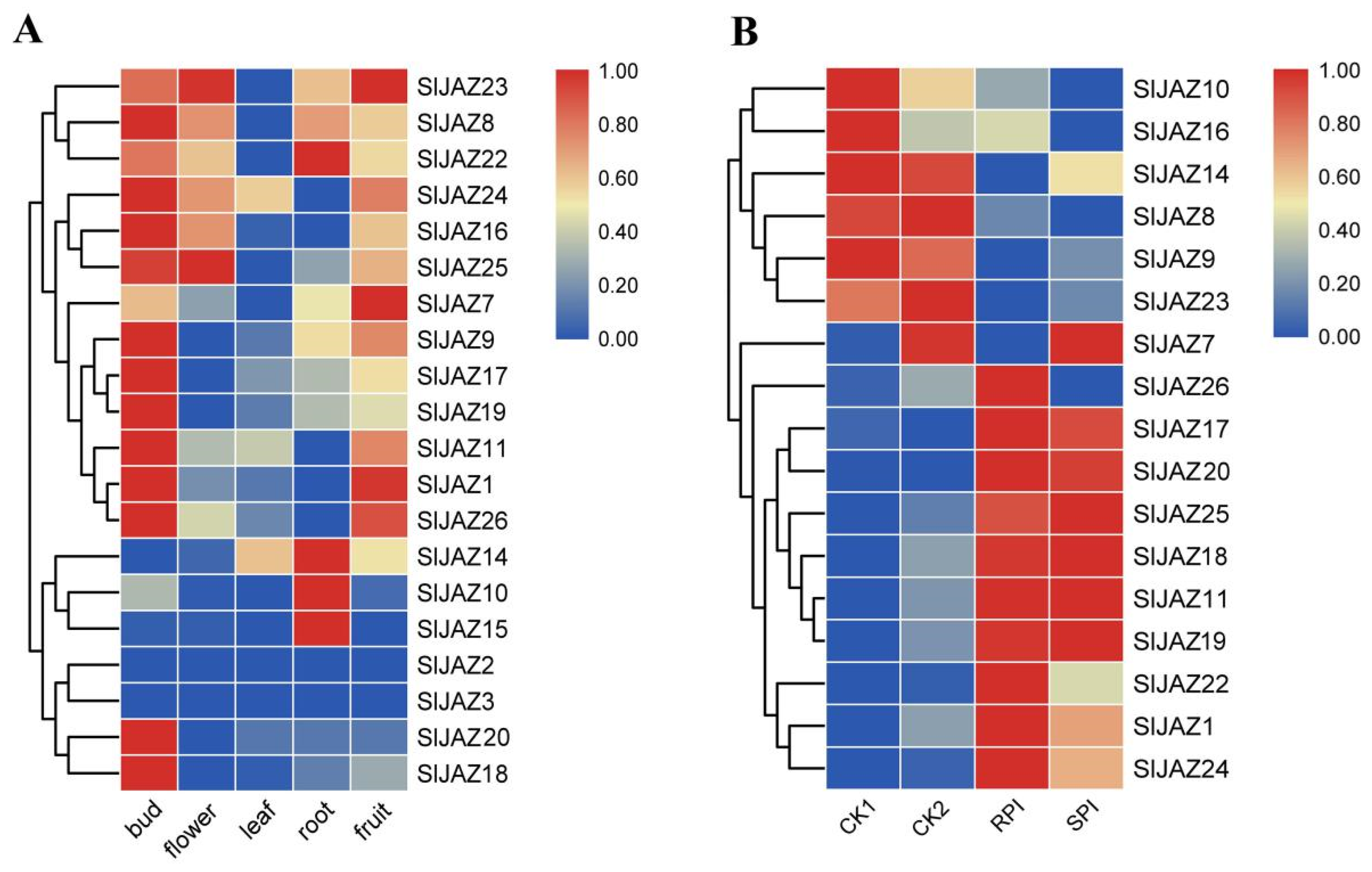 Ijms 22 09974 g007 550