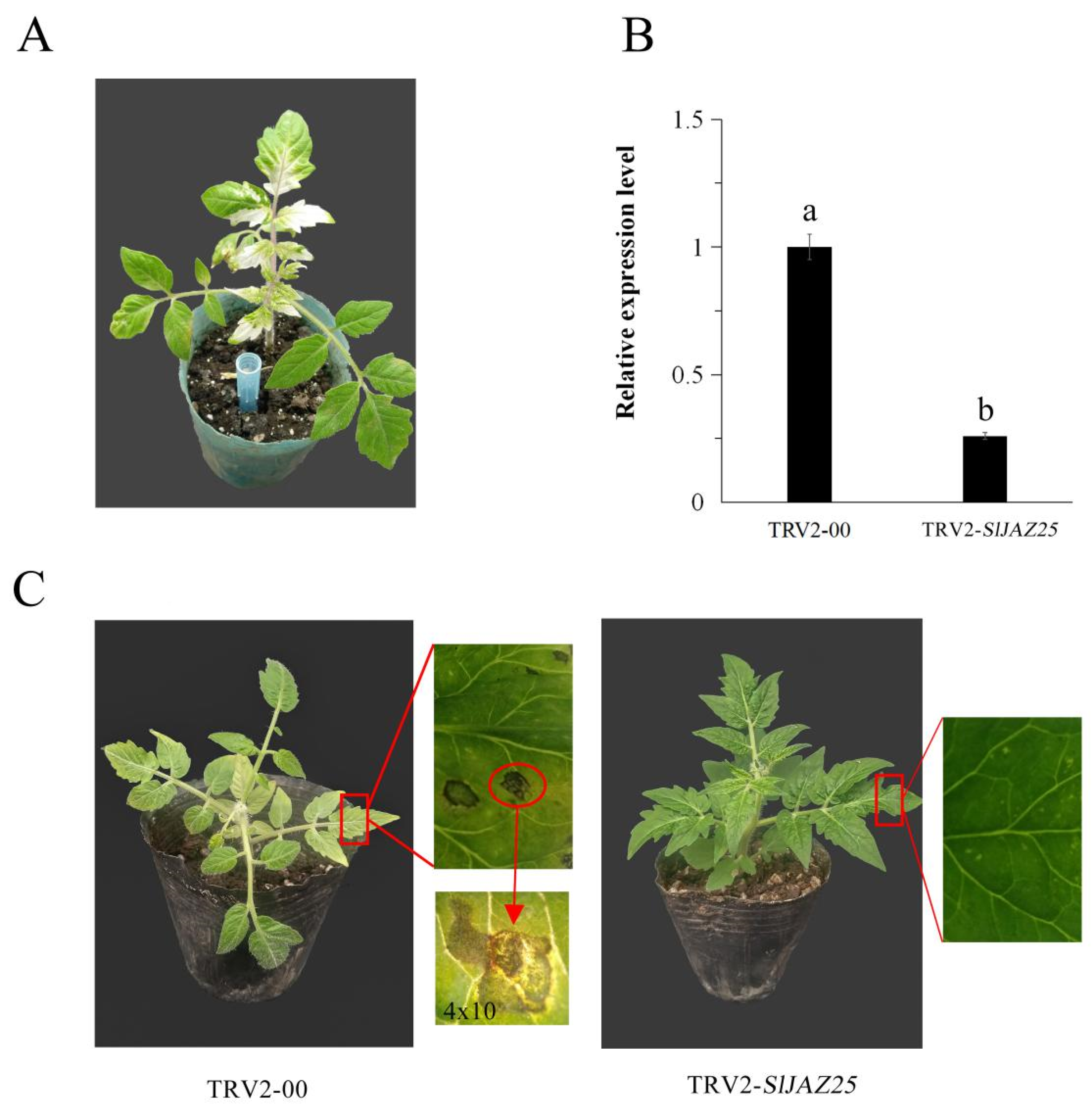 Ijms 22 09974 g009 550