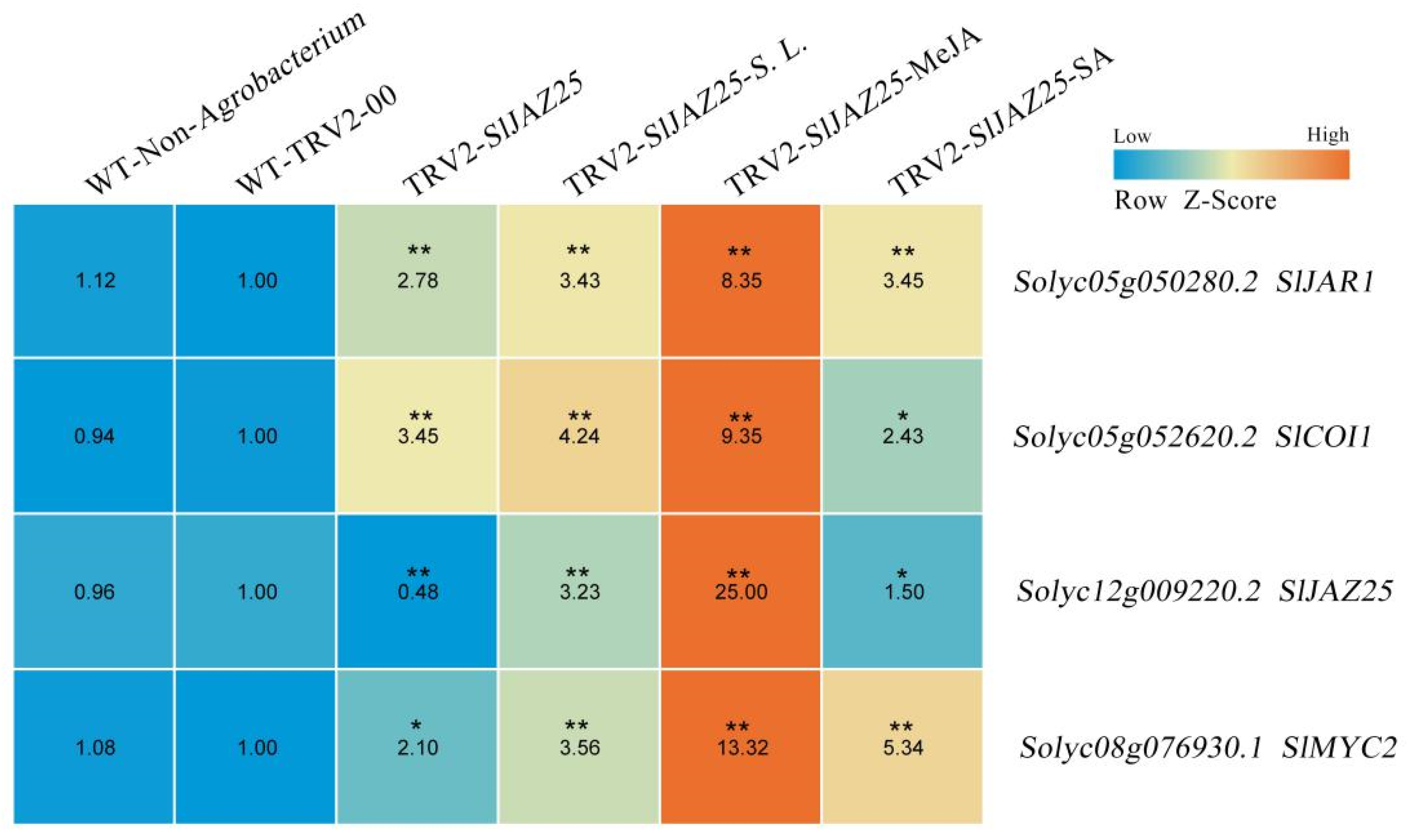 Ijms 22 09974 g010 550
