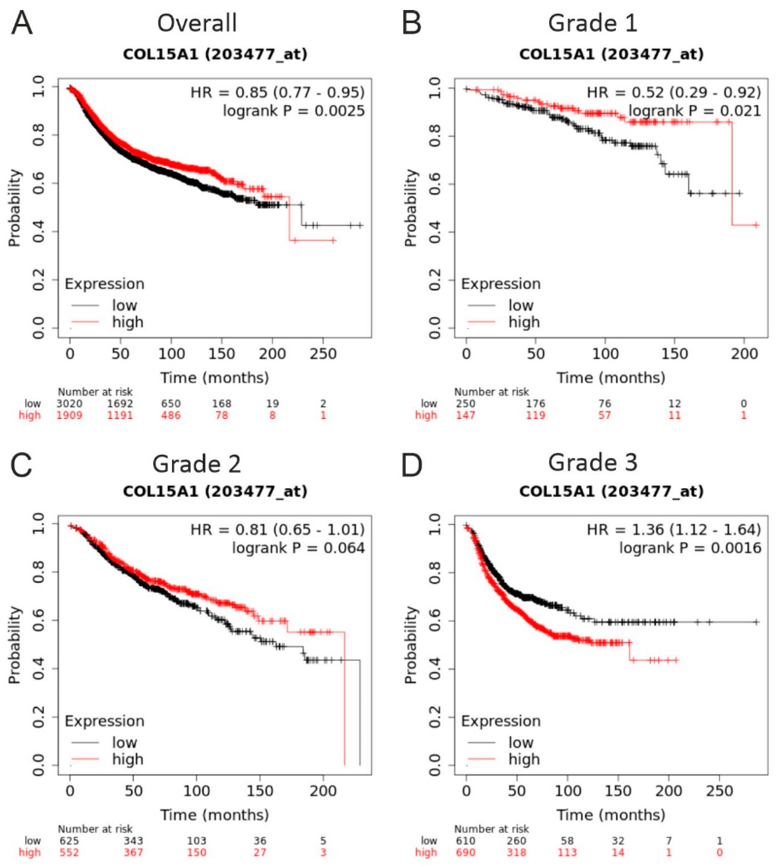 Ijms 22 09978 g005 Ijms 22 09978 g005