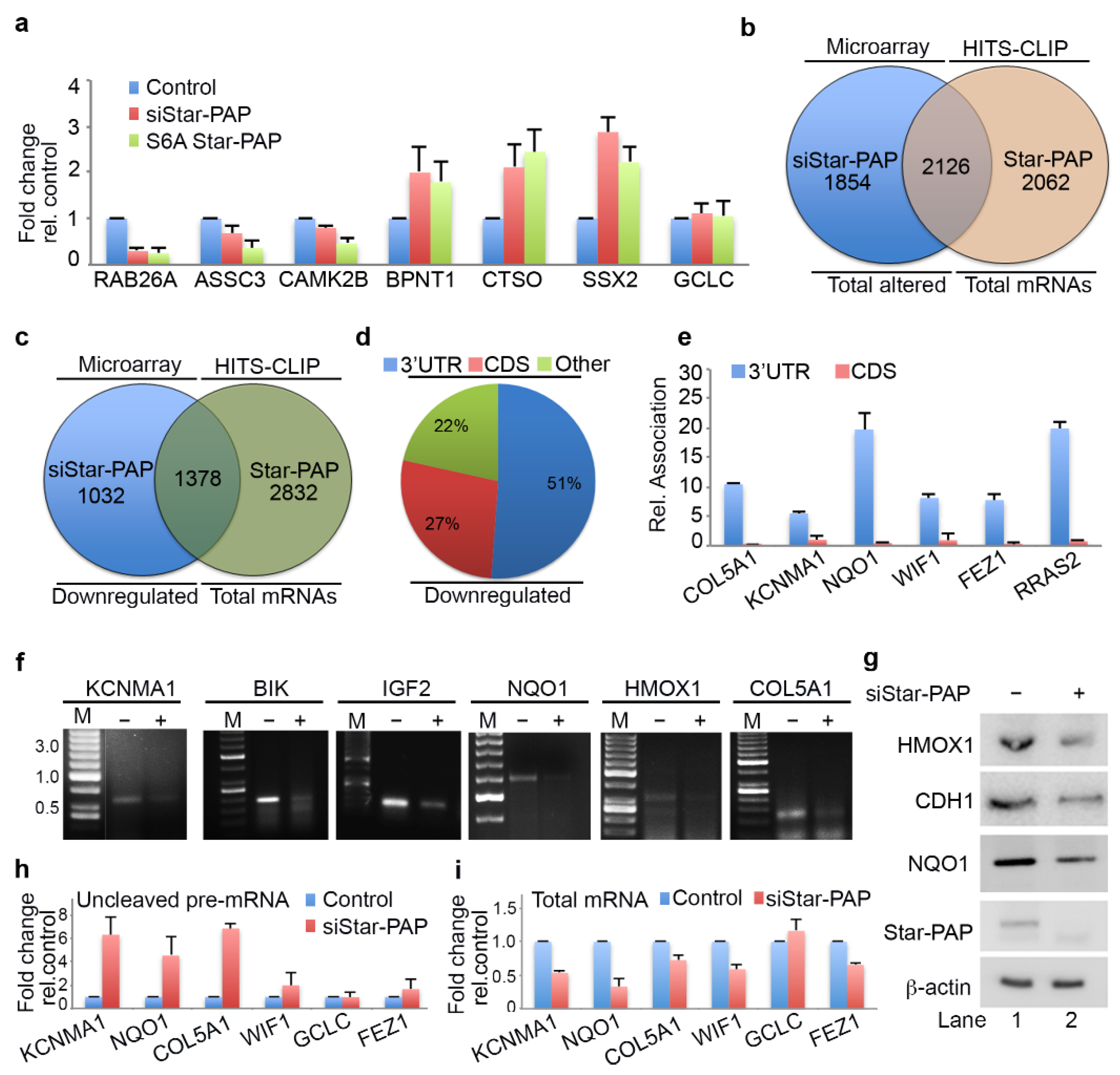 Ijms 22 09980 g002 Ijms 22 09980 g002
