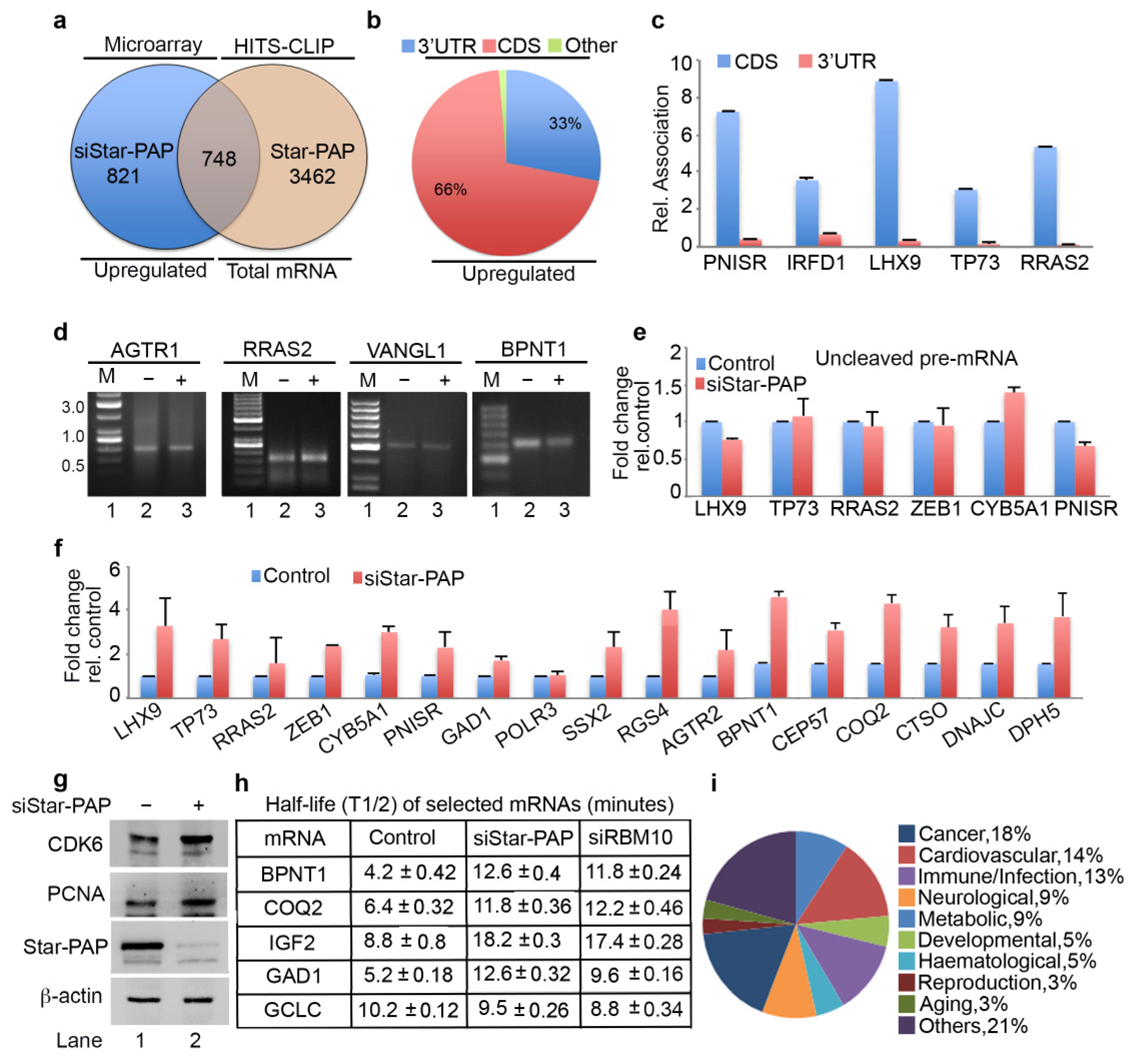 Ijms 22 09980 g003 Ijms 22 09980 g003