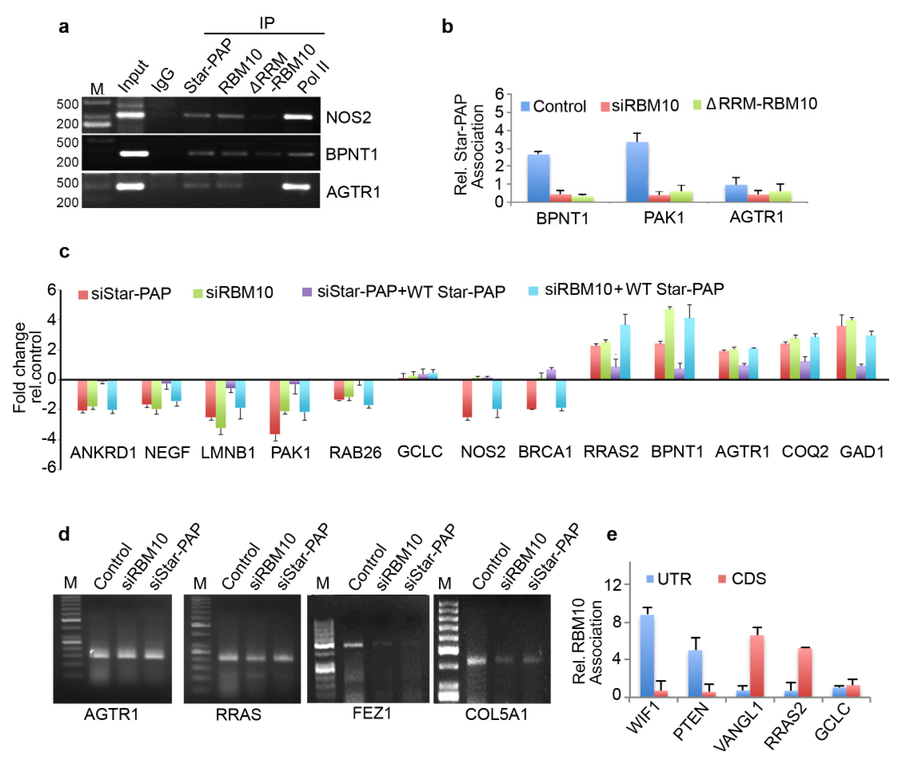 Ijms 22 09980 g005 Ijms 22 09980 g005