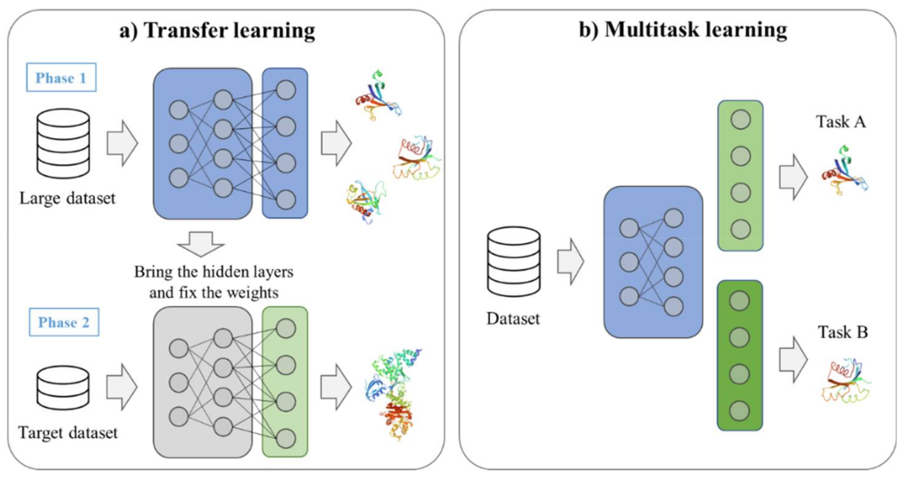 Ijms 22 09983 g008 550