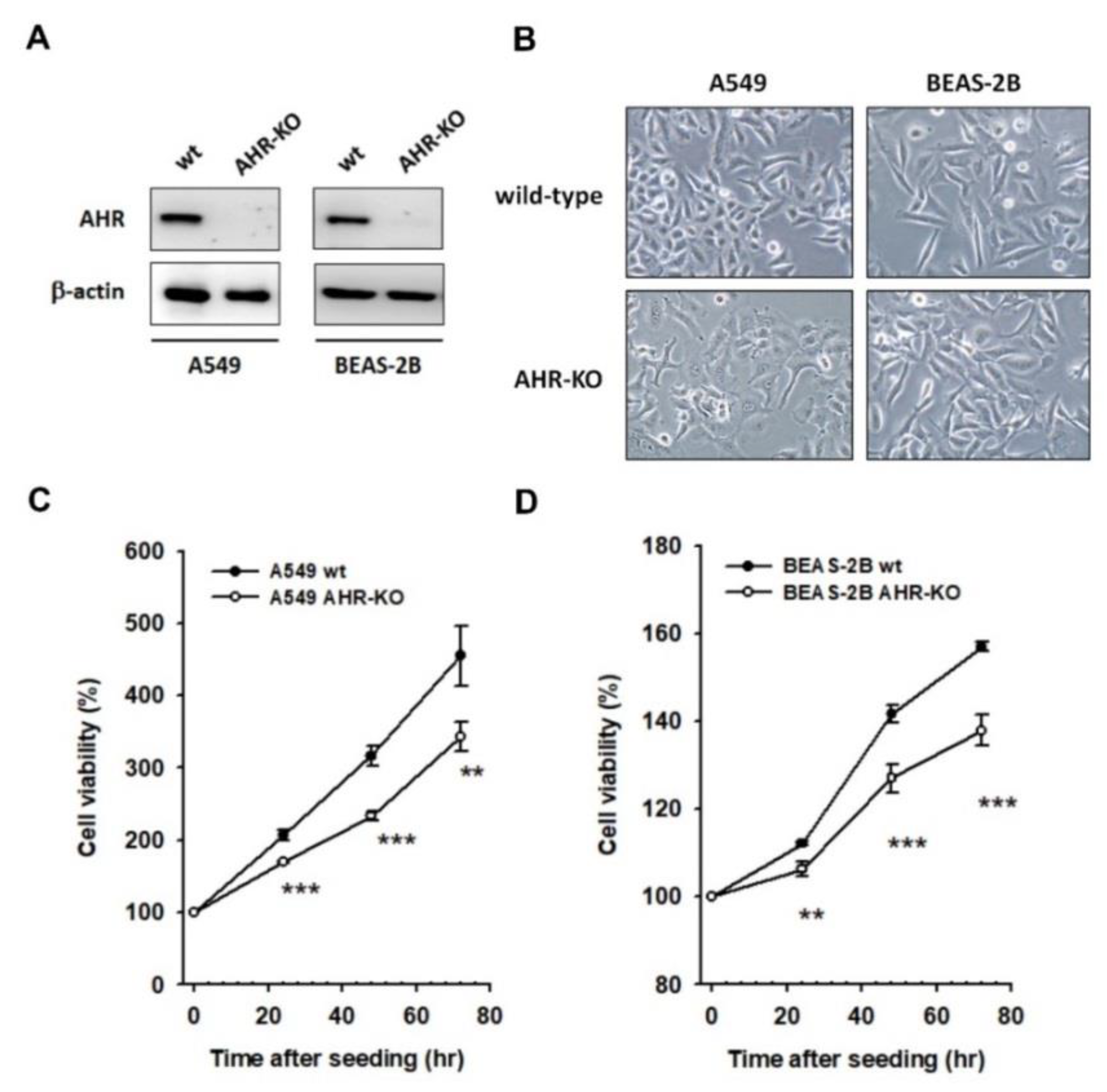 Ijms 22 09988 g001 550