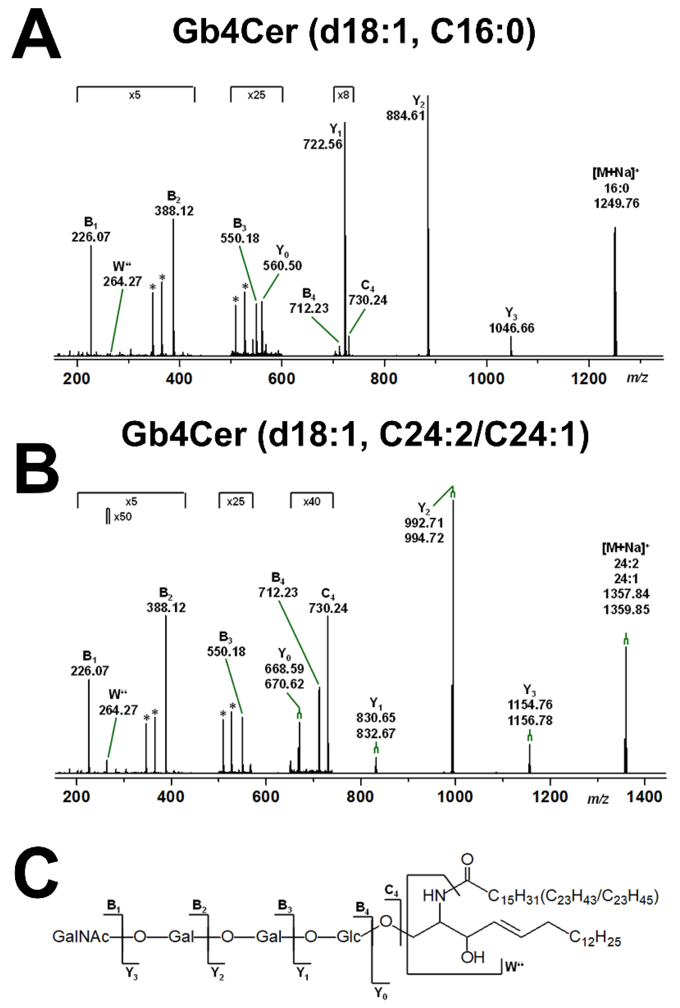 Ijms 22 10002 g004 Ijms 22 10002 g004