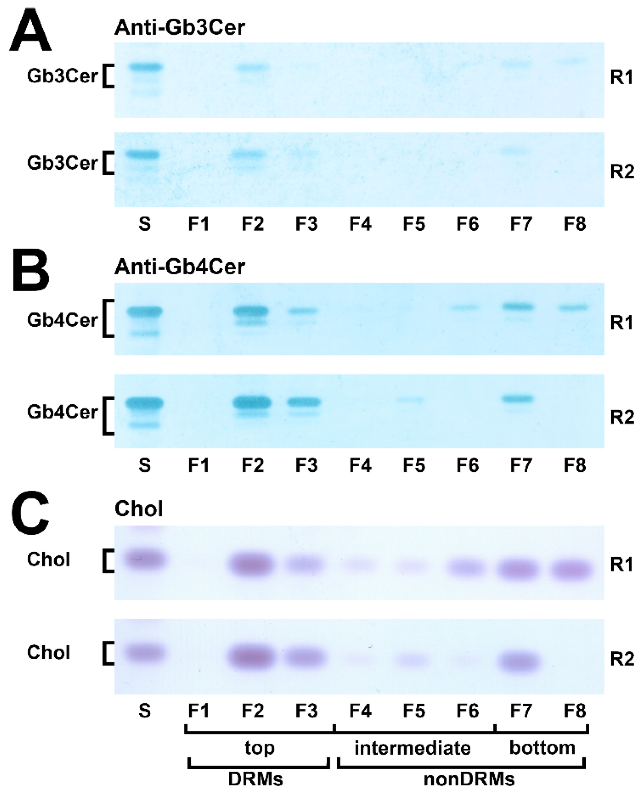 Ijms 22 10002 g005 Ijms 22 10002 g005