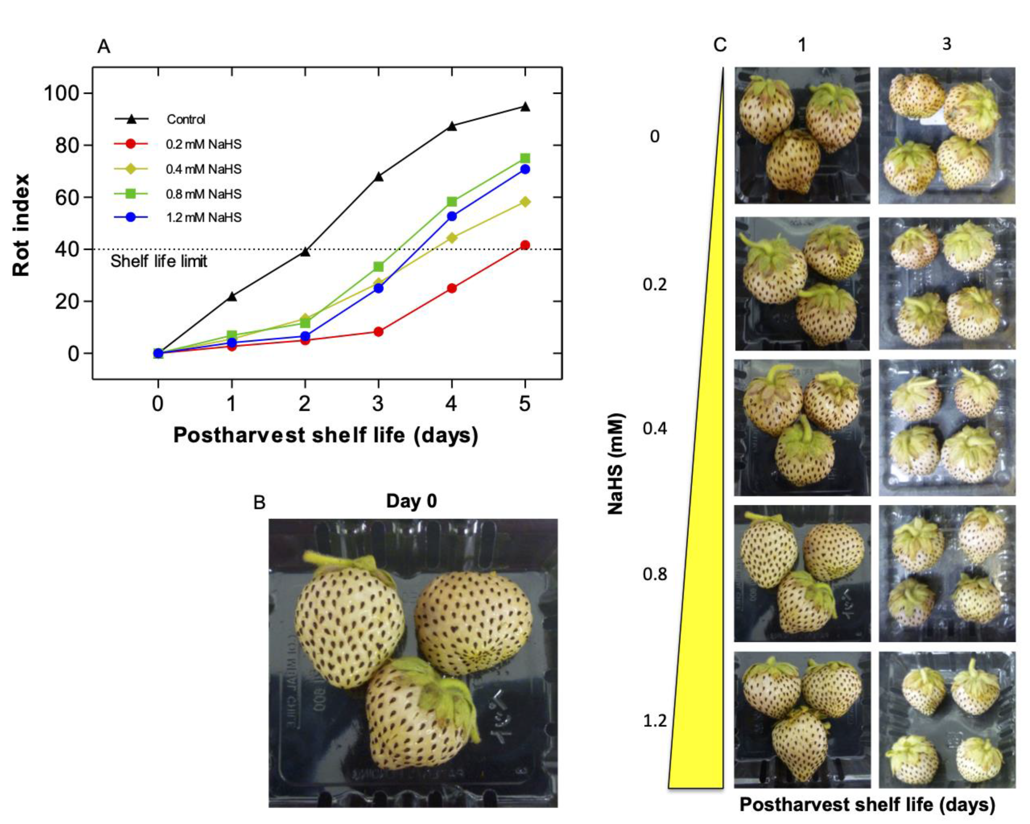 Ijms 22 10008 g001 550