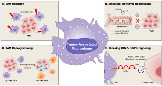 Sufijo qué significa tumor