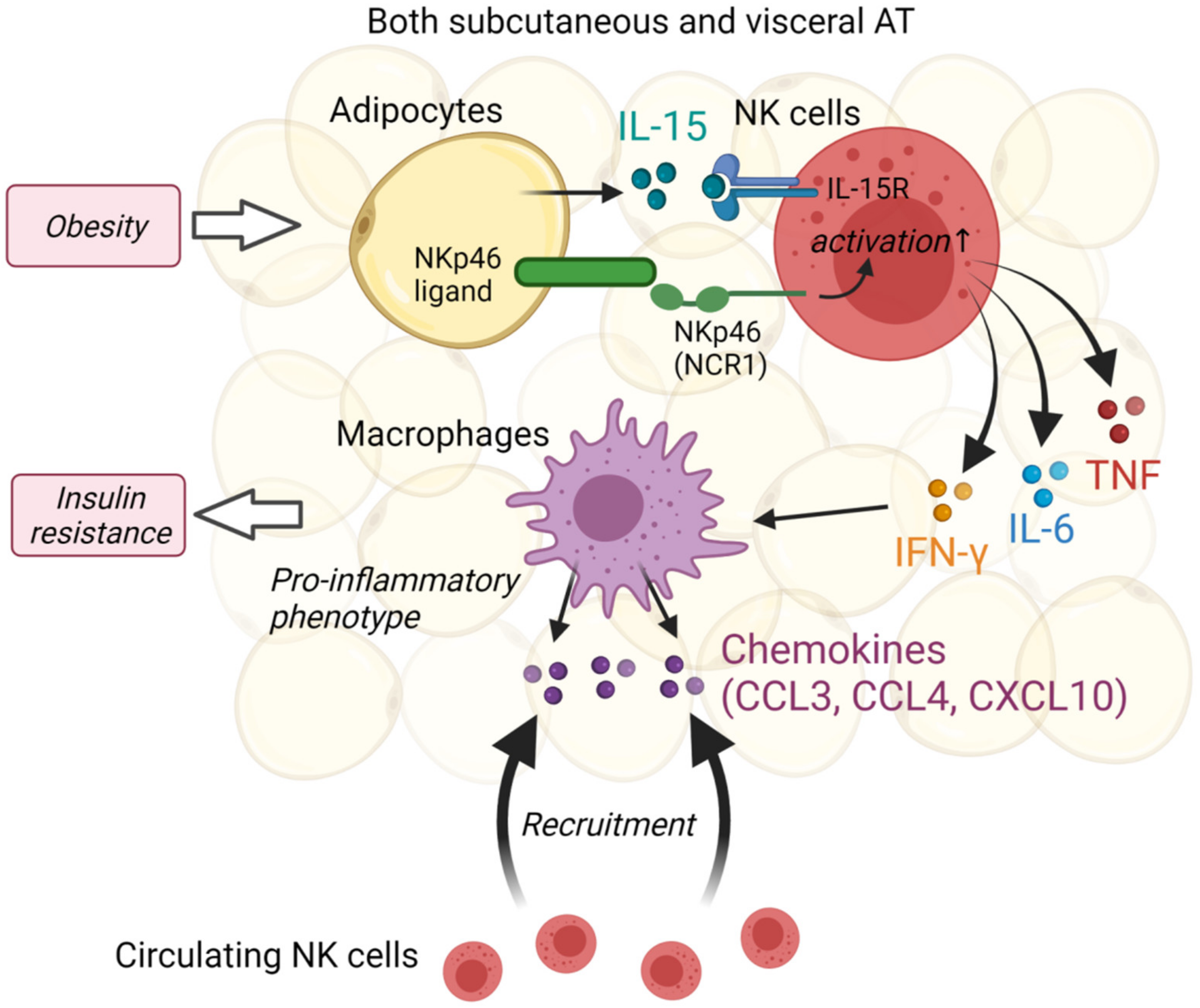 Ijms 22 10017 g002 550